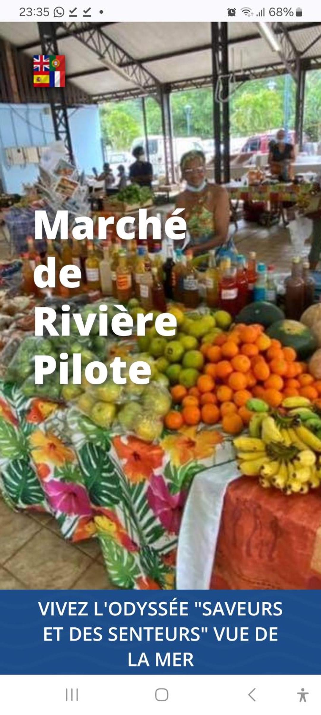 Abricotier à proximité des plages du sud view 5