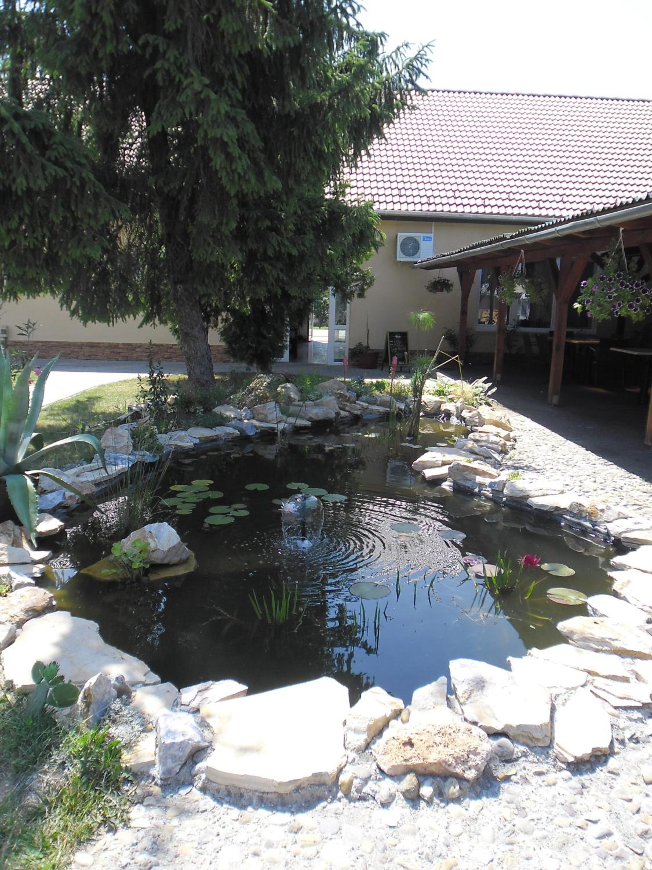 Photo 45