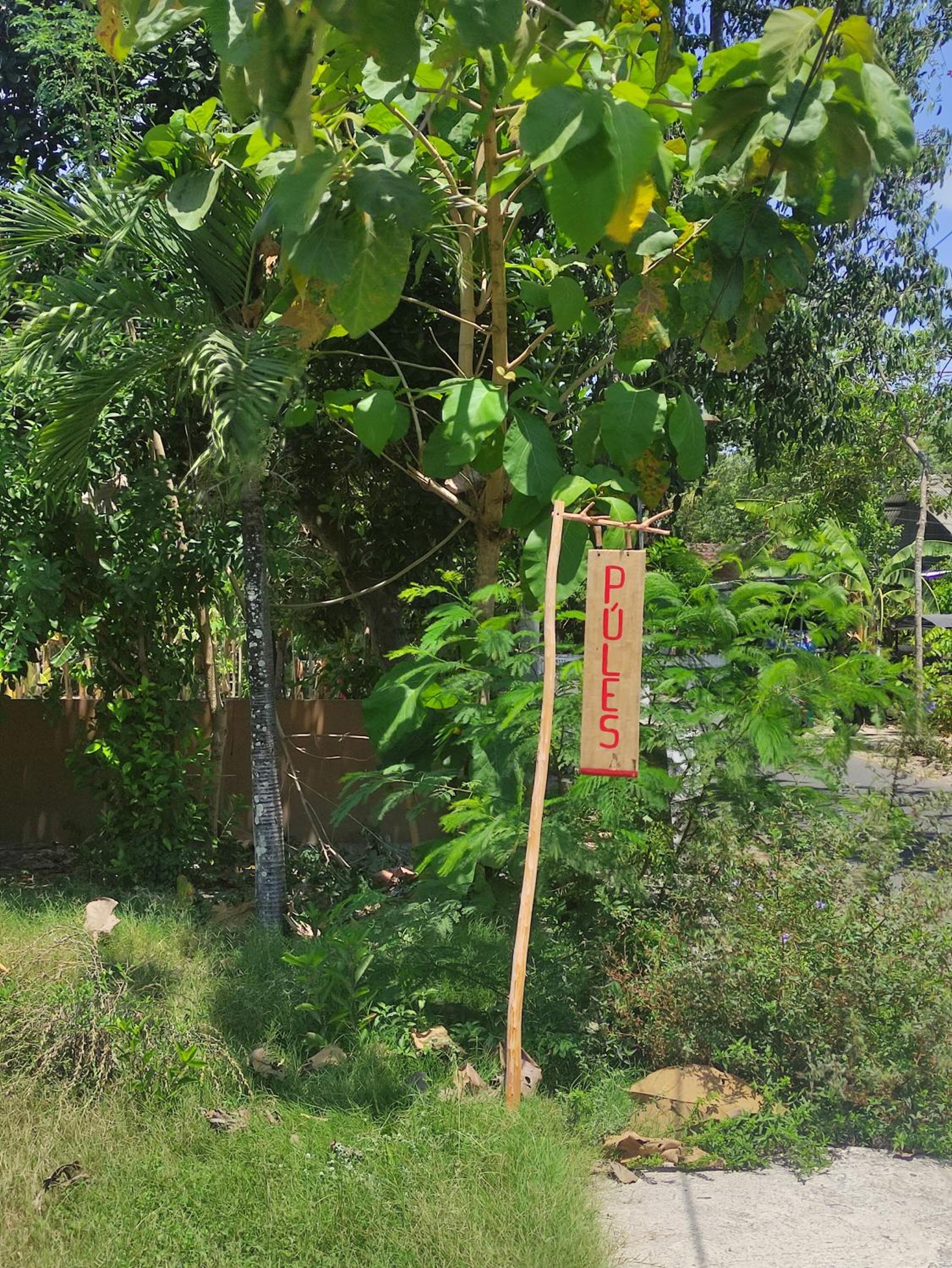 Púles Homestay