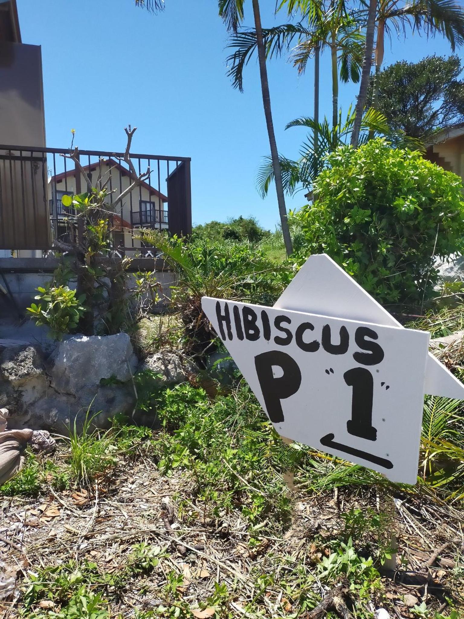 Pension Hibiscus - Vacation STAY 14929v view 4