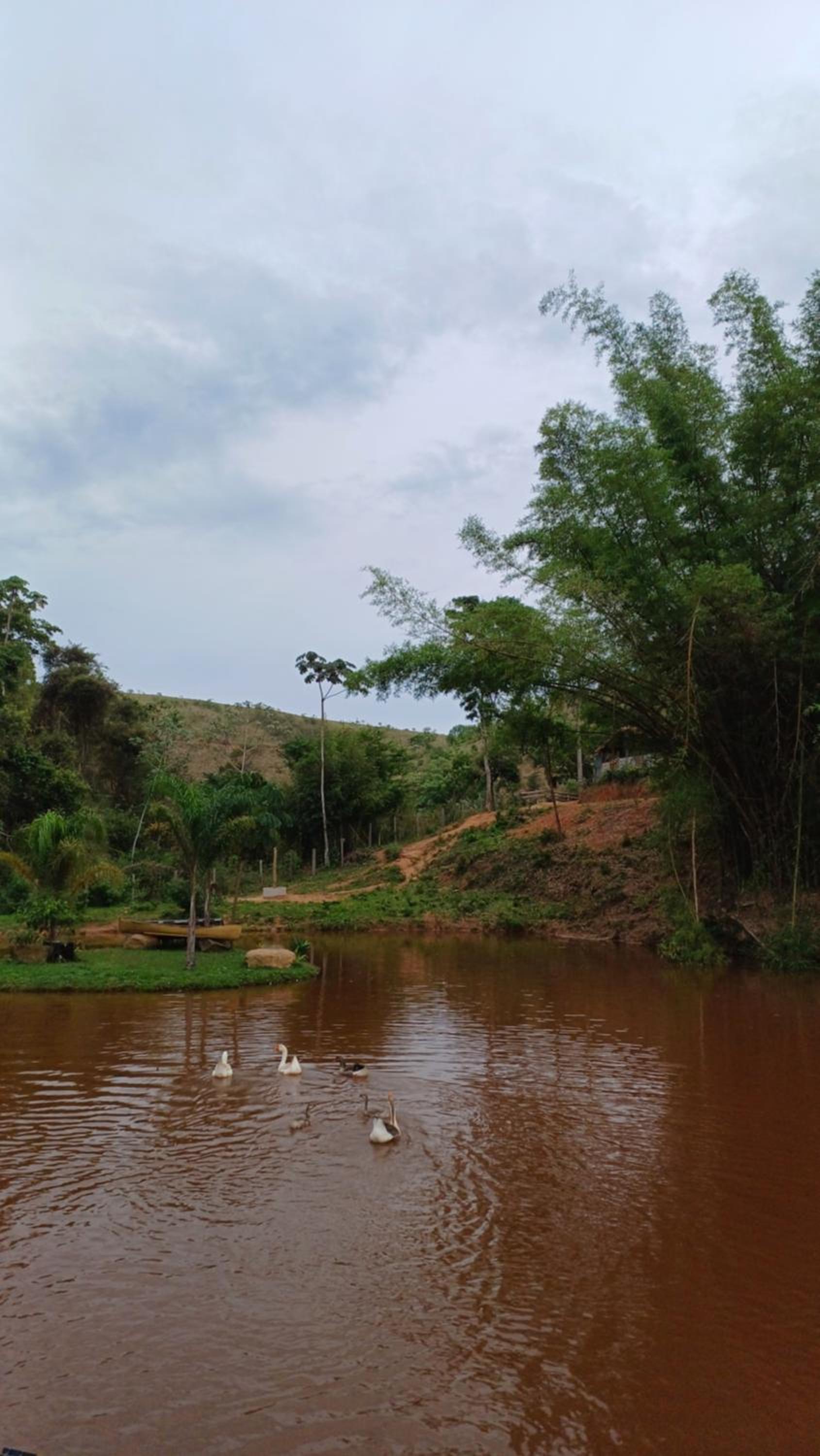 Sitio Reis Membeca