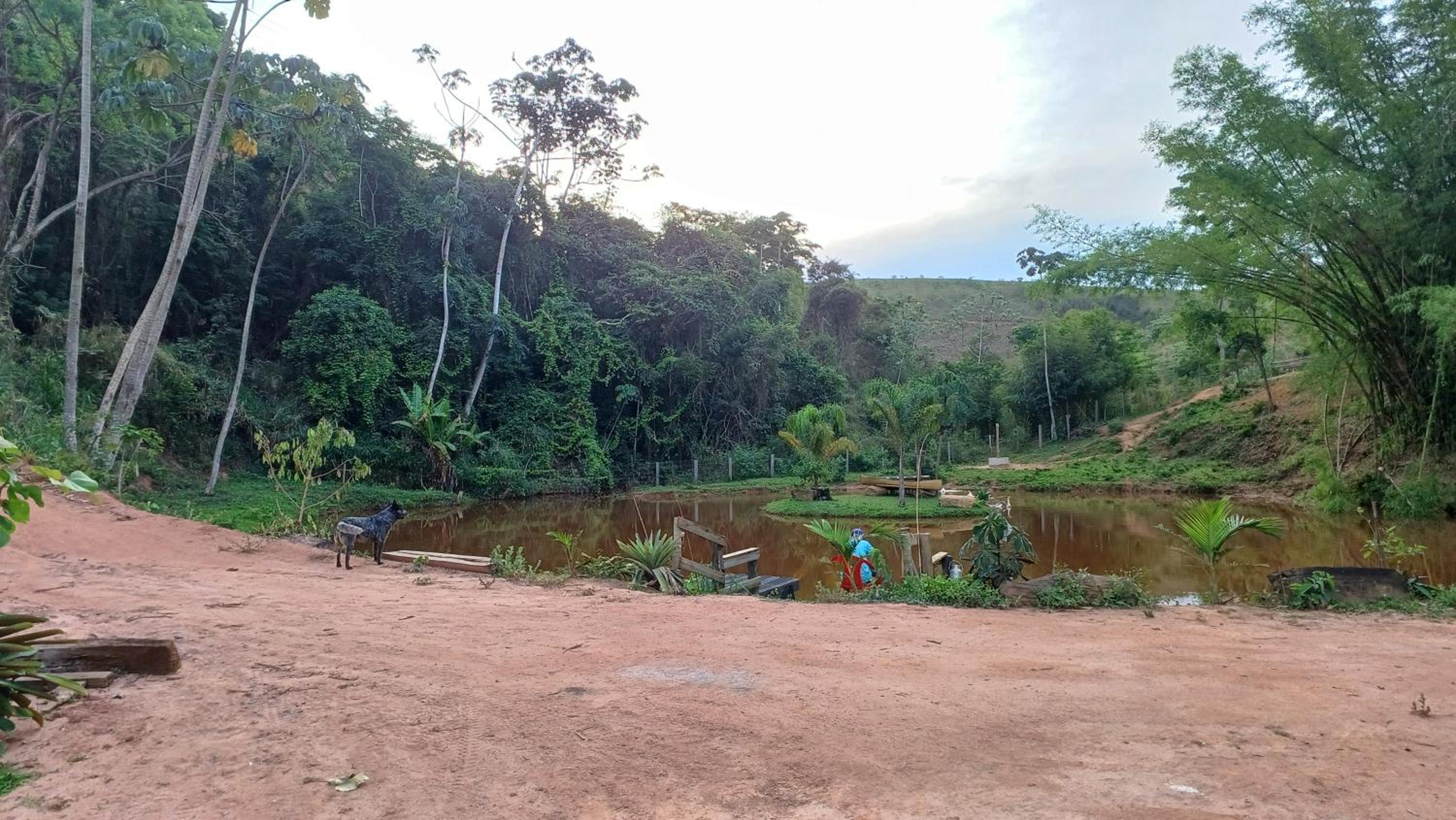 Sitio Reis Membeca