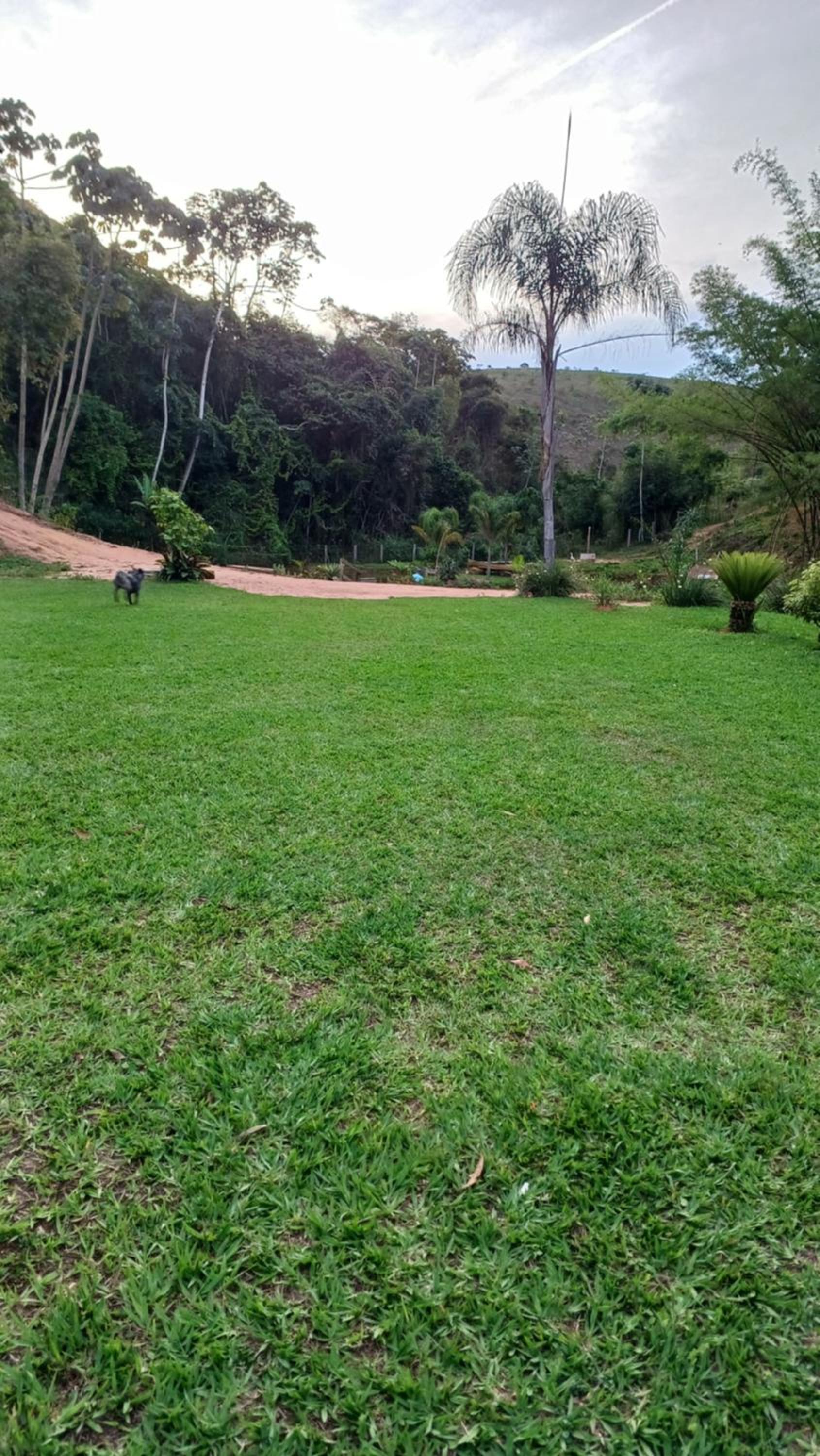 Sitio Reis Membeca