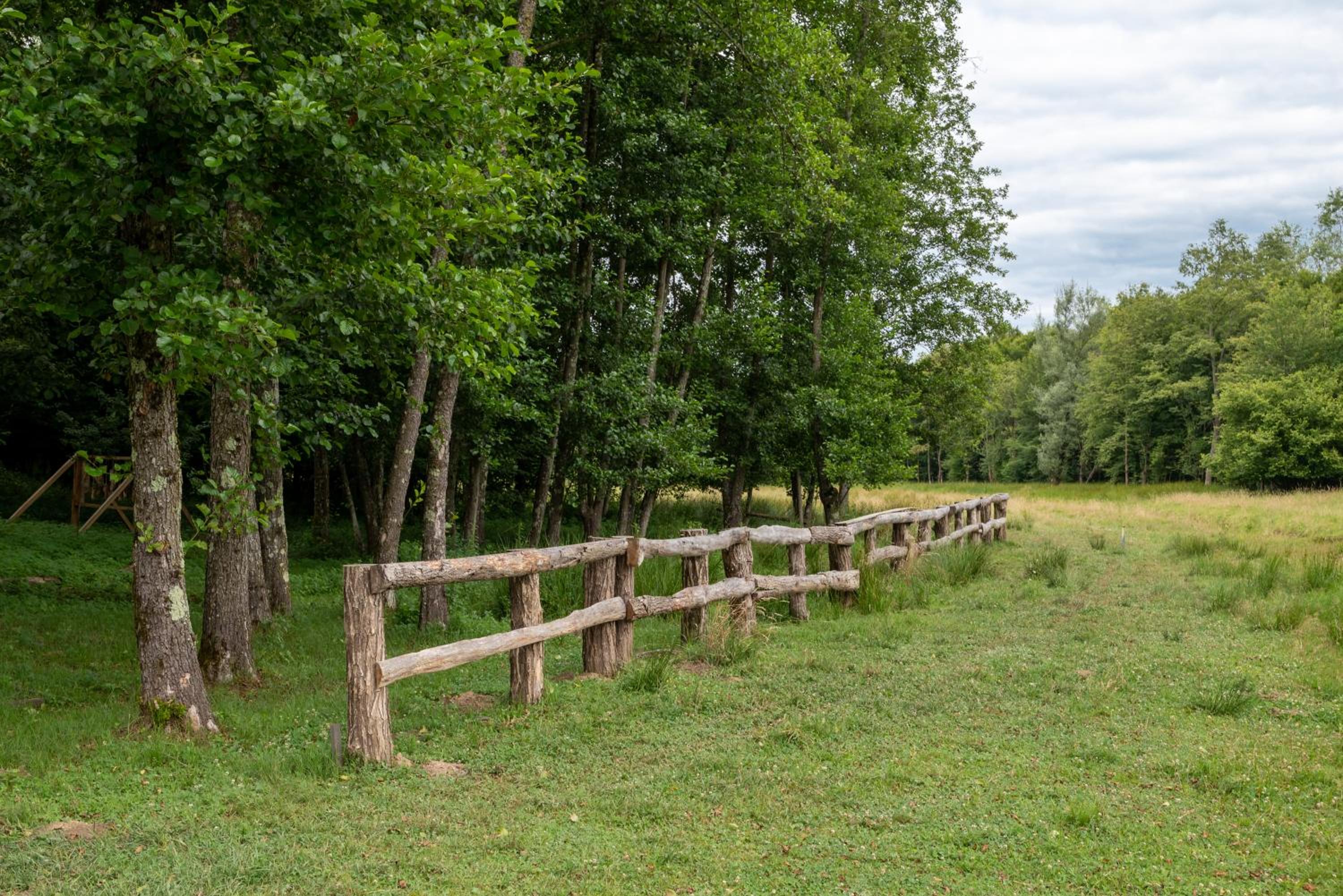 Apartman Plavac