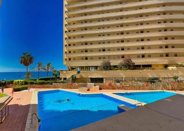 Apolo photo 4