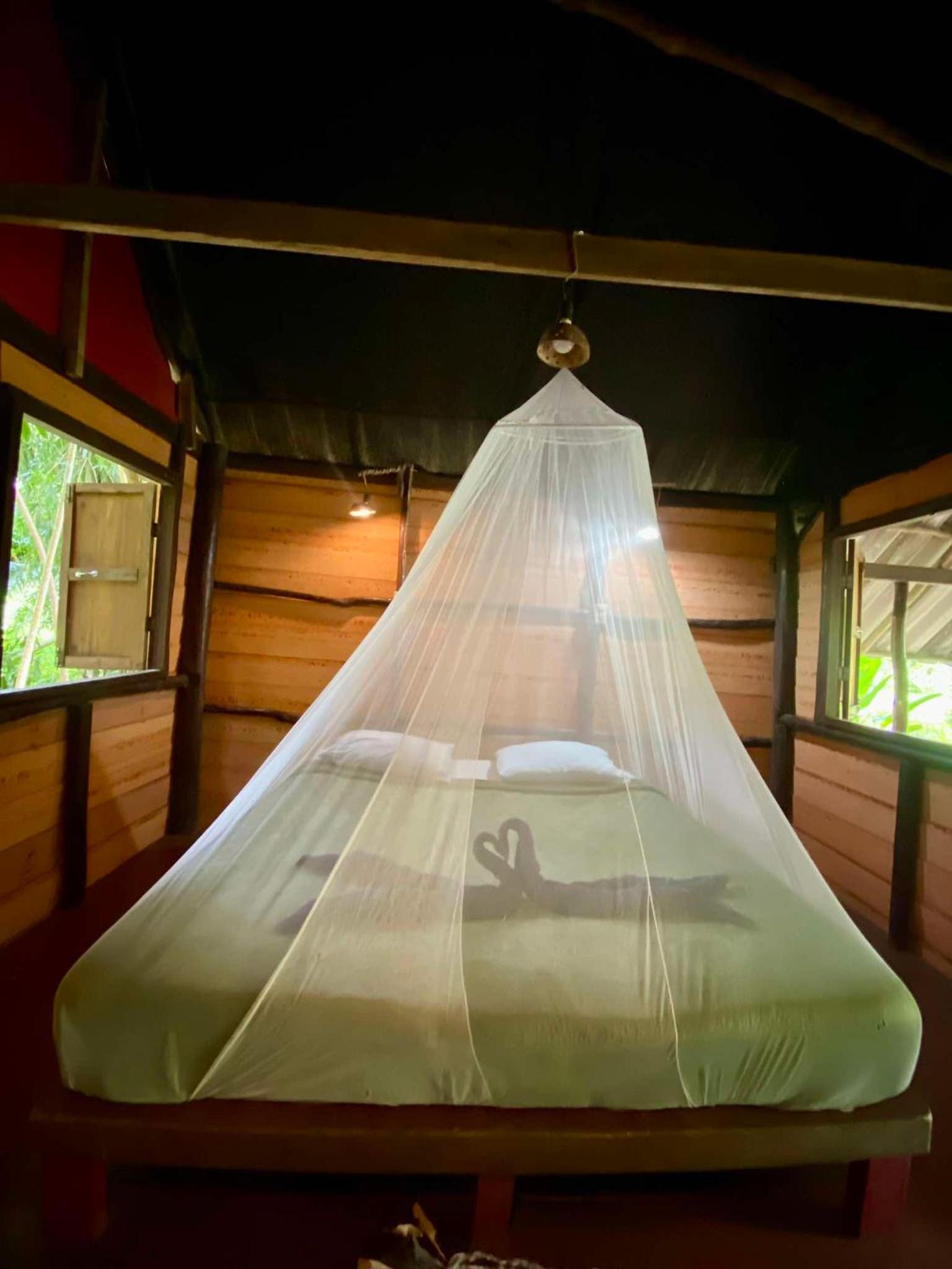 Khao Sok Green Mountain View