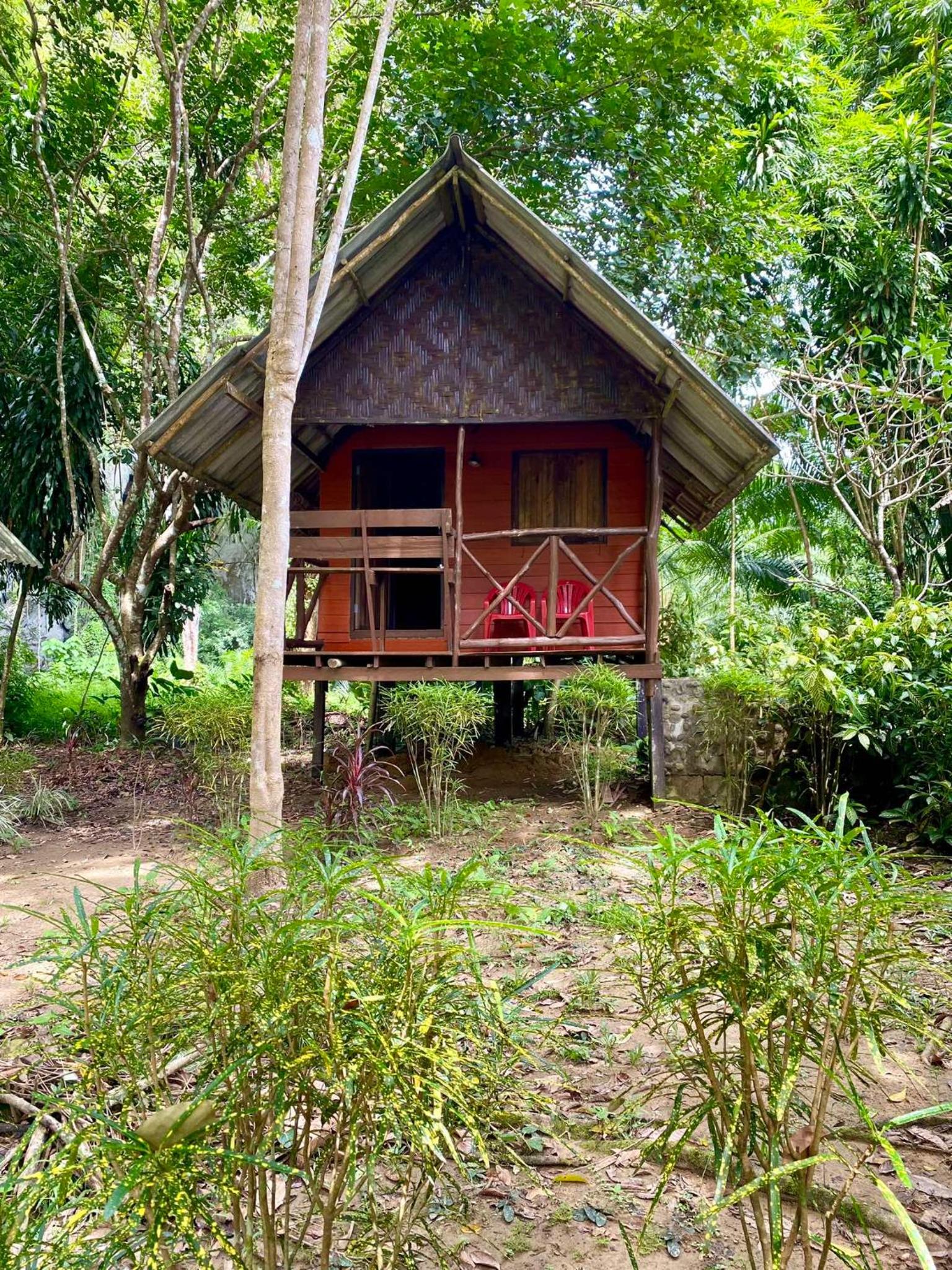 Khao Sok Green Mountain View