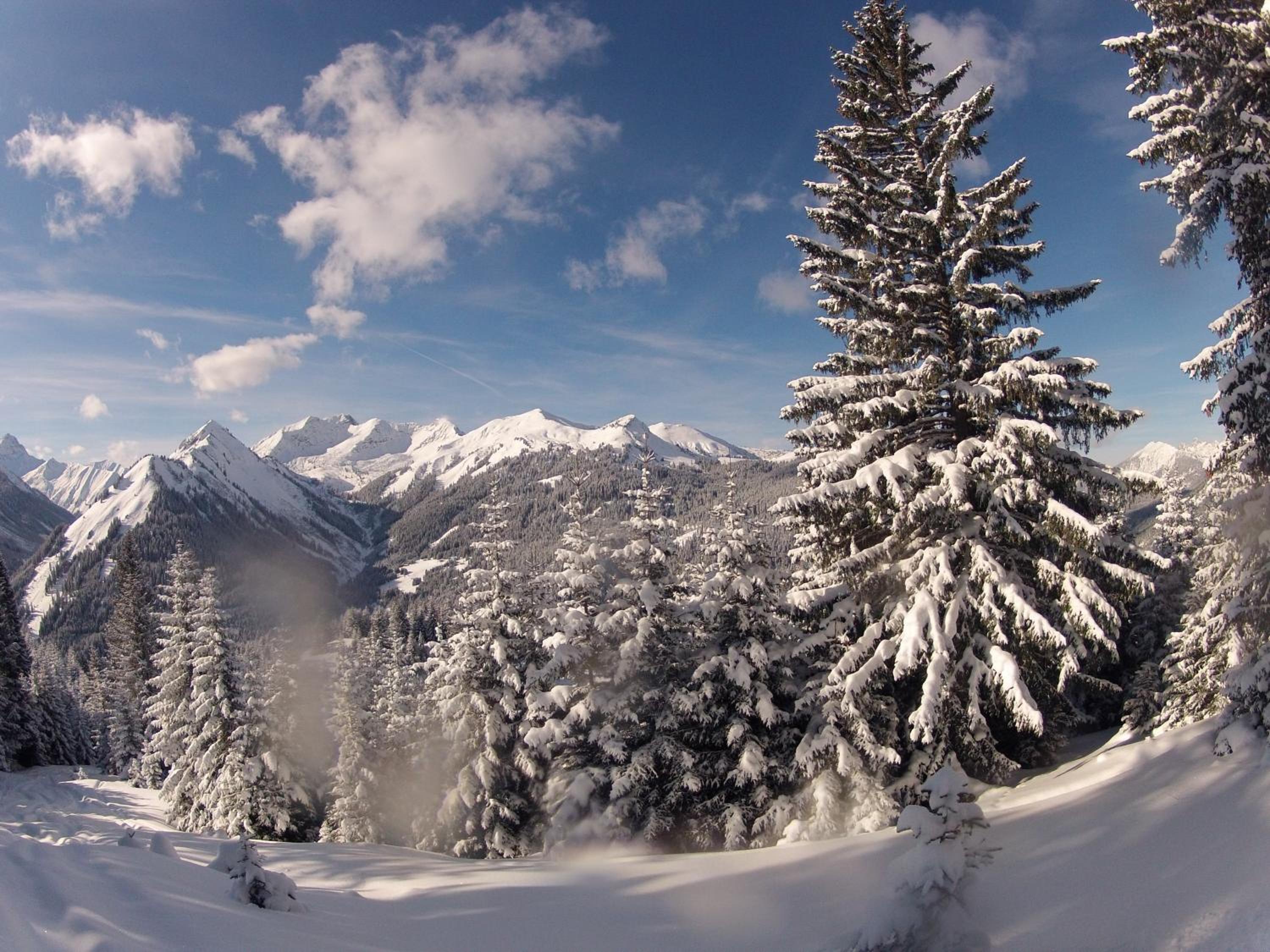 Alpenperle - ruhige Auszeit nahe Berwang mit Bergblick