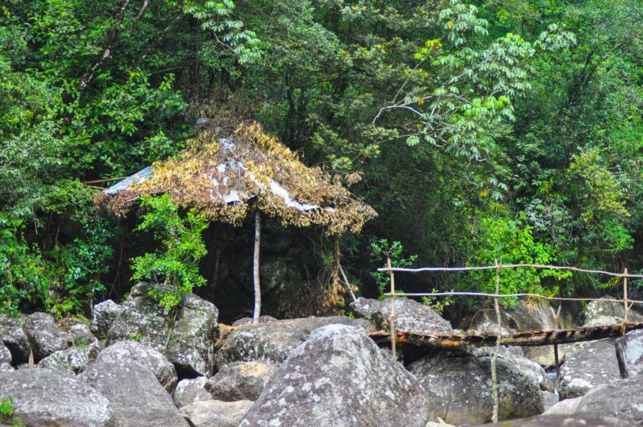 Jungle Tree House Rangala view 2