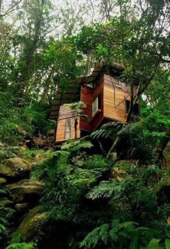 Jungle Tree House Rangala view 3