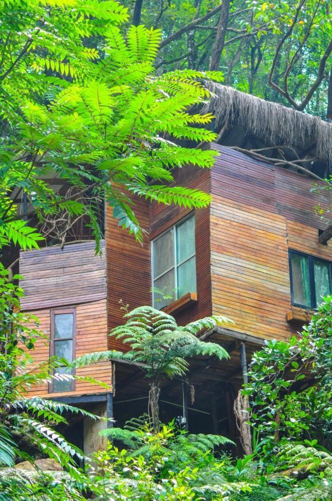 Jungle Tree House Rangala view 4