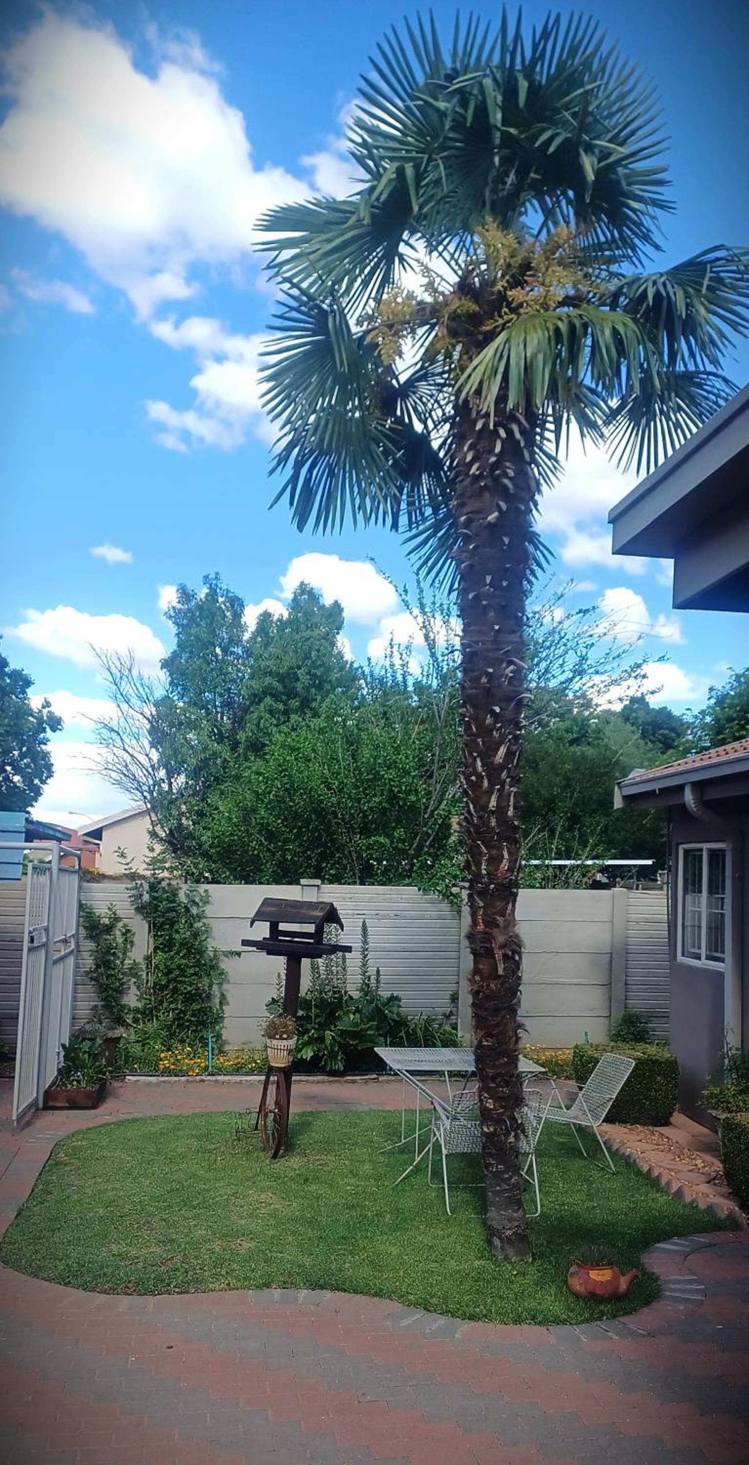 Photo 26