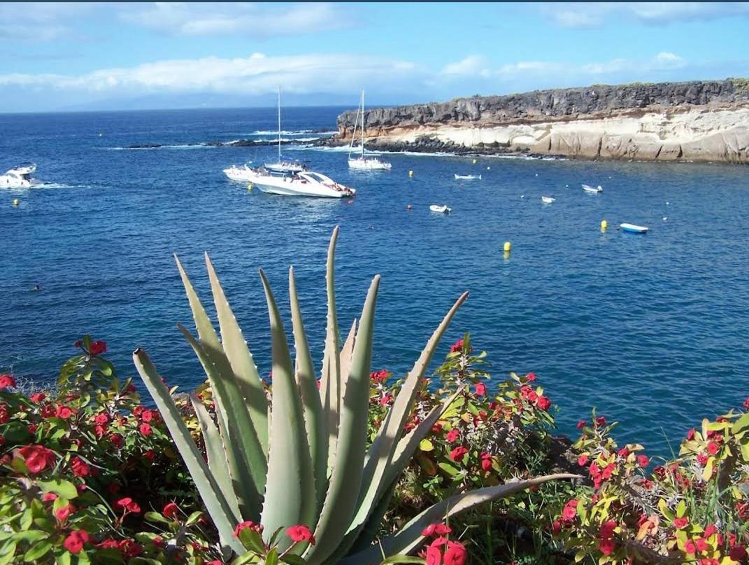 Apartment Compostela Beach