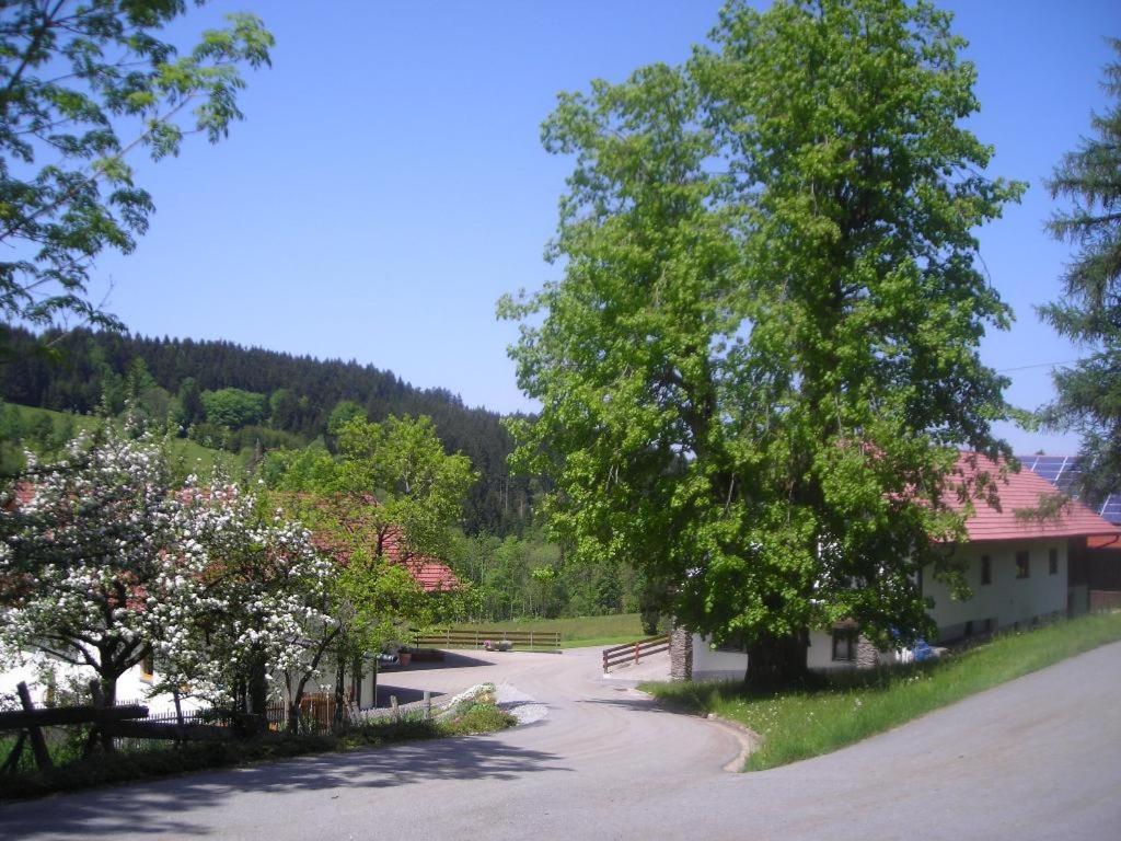 Photo 22