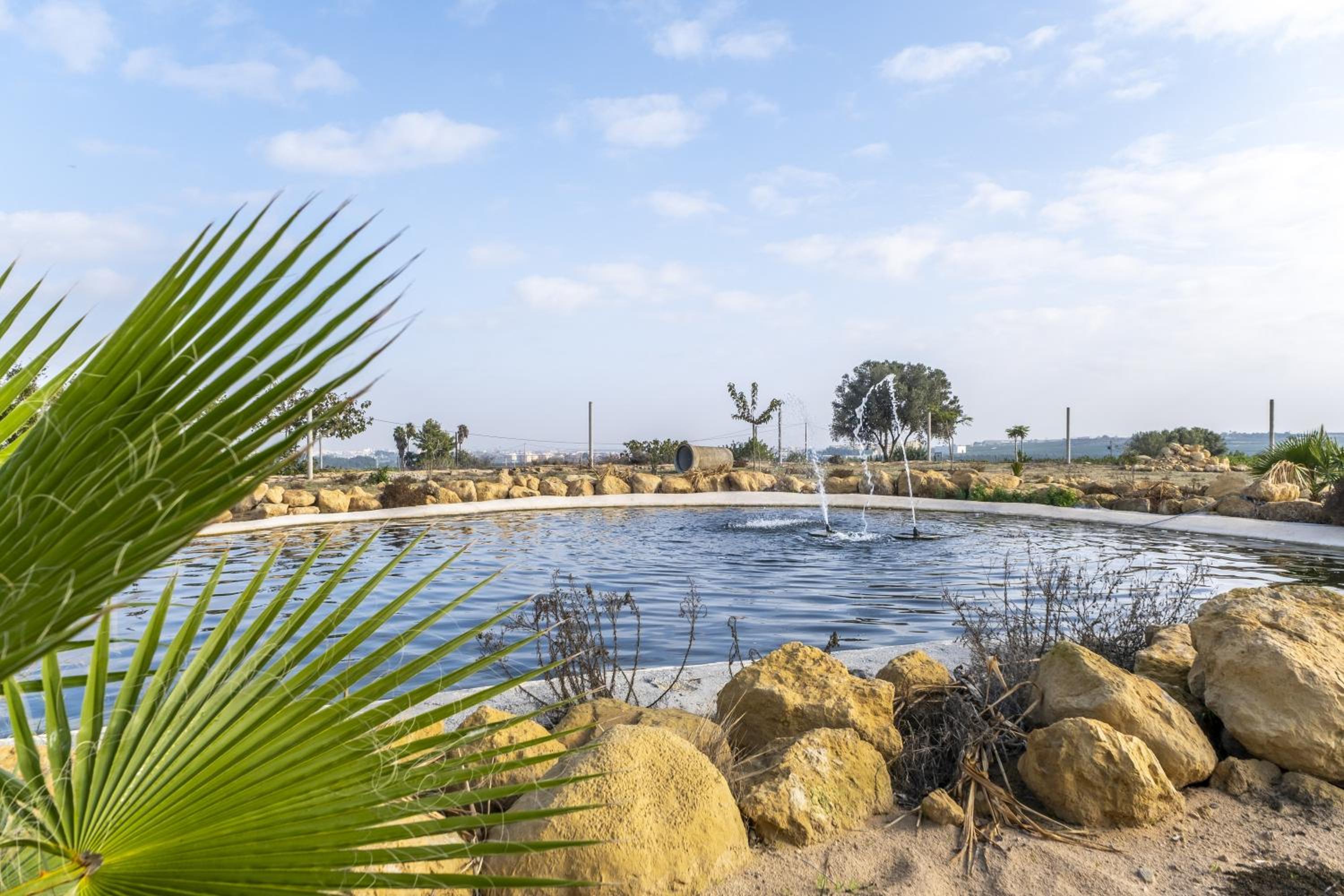 Finca Los Caleros - Algorfa