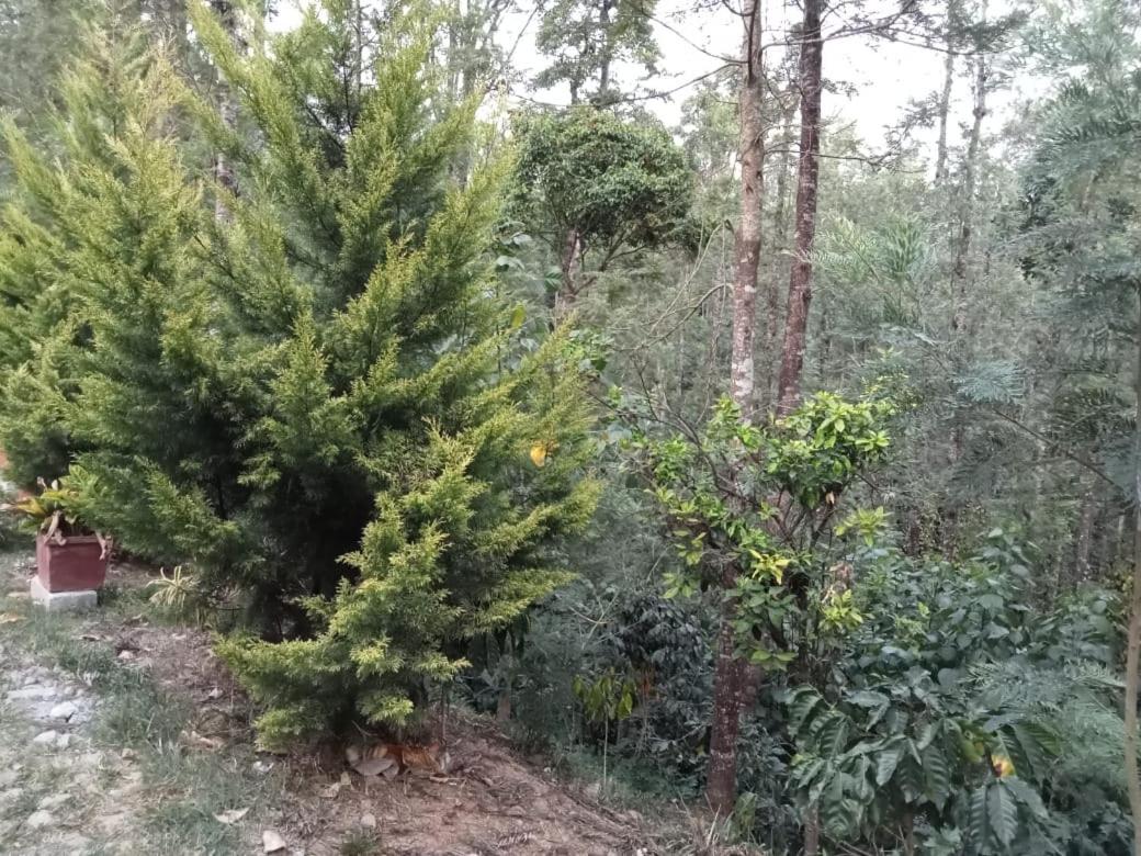 Patel Homestay EBM view 5