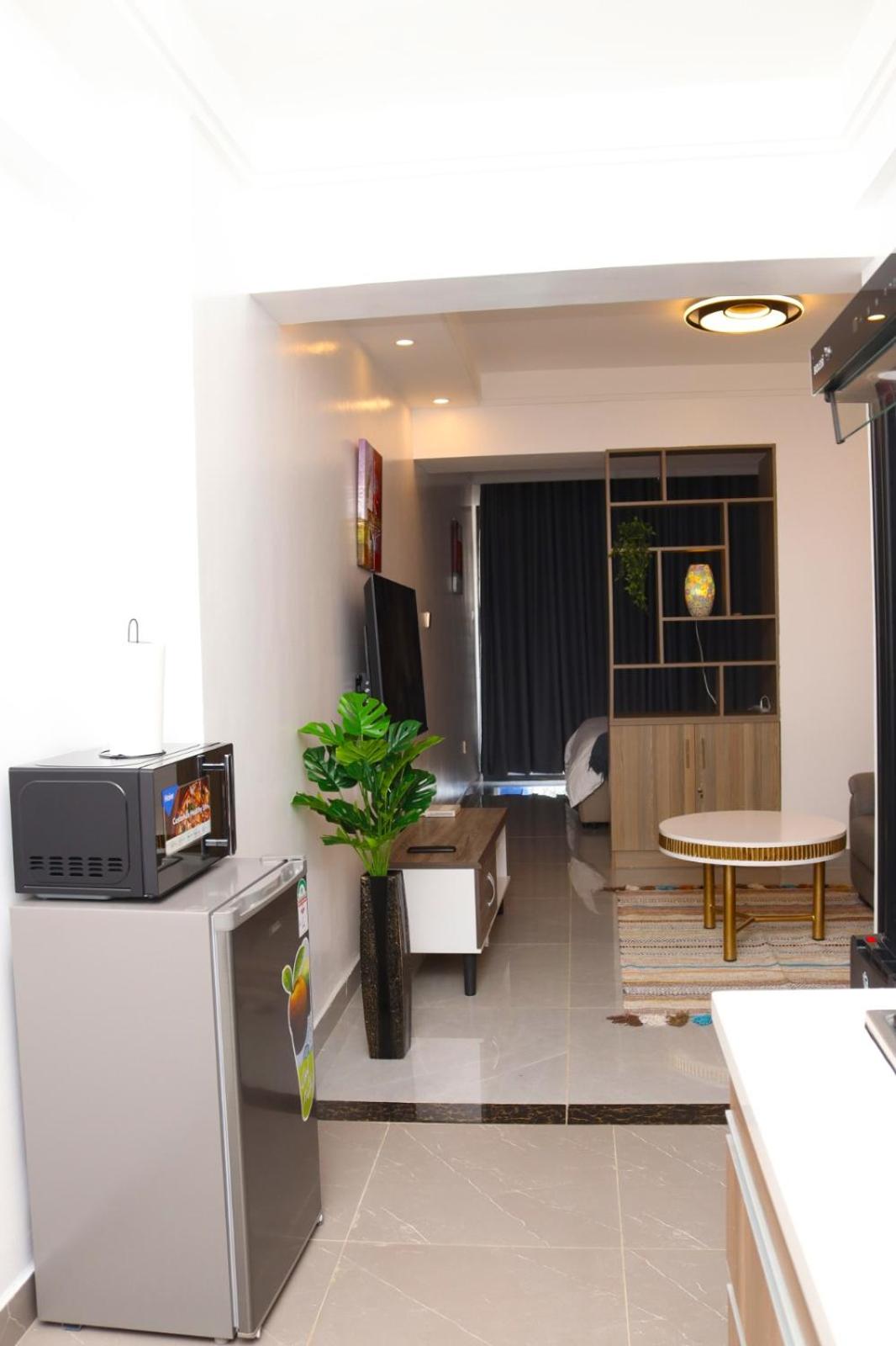 Luxury Studio Apartment view 4