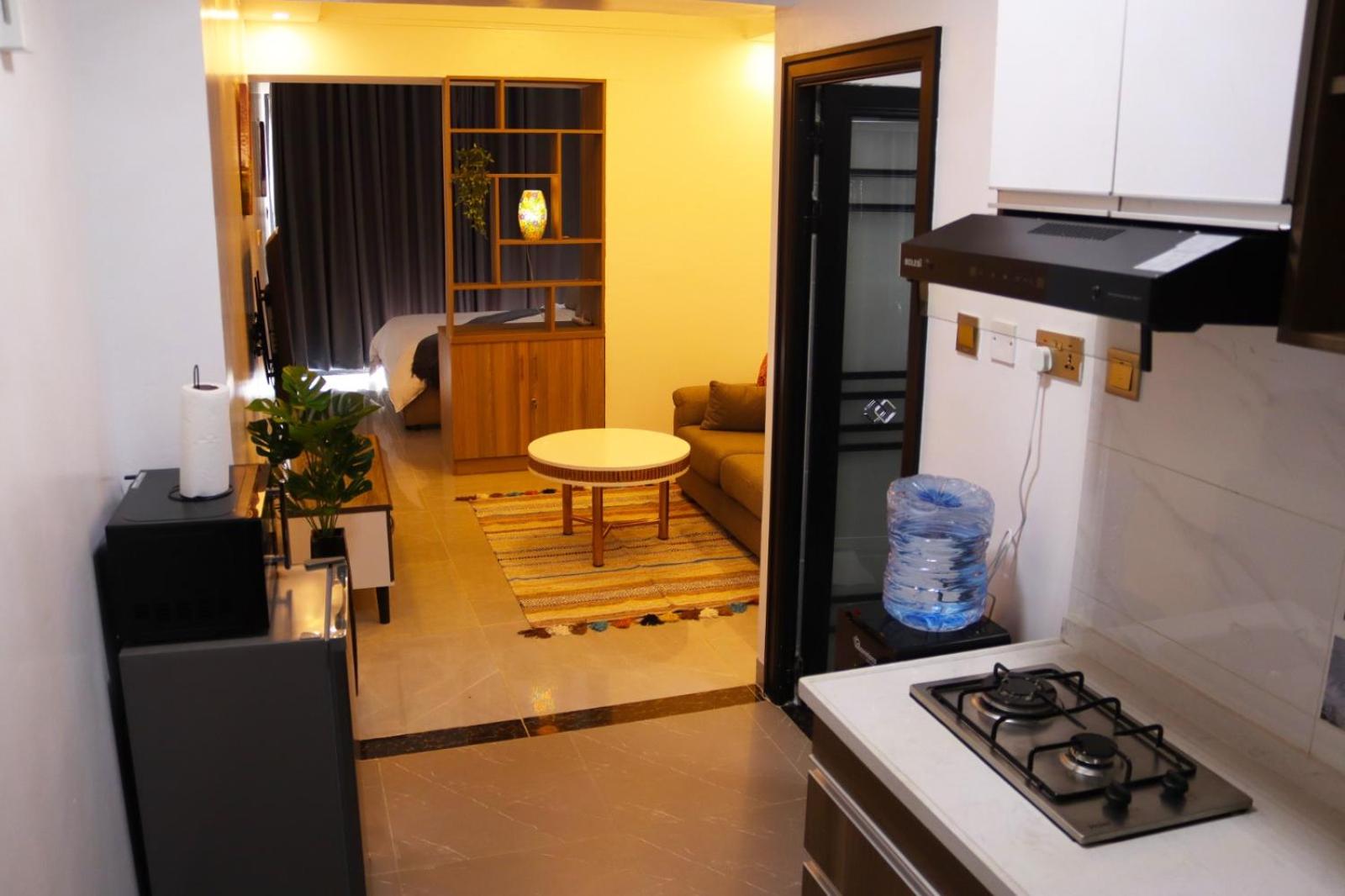 Luxury Studio Apartment view 5
