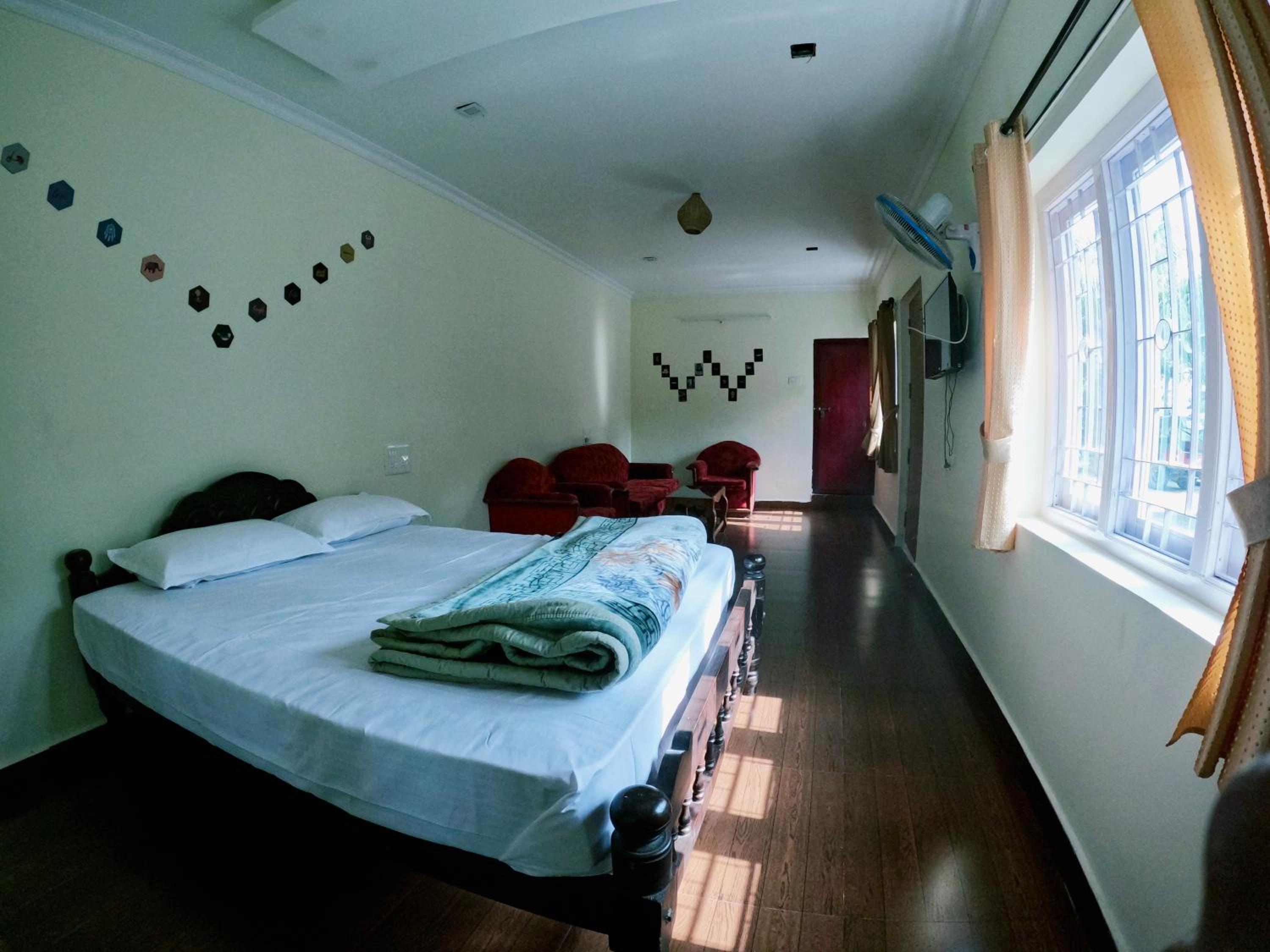 Photo 11