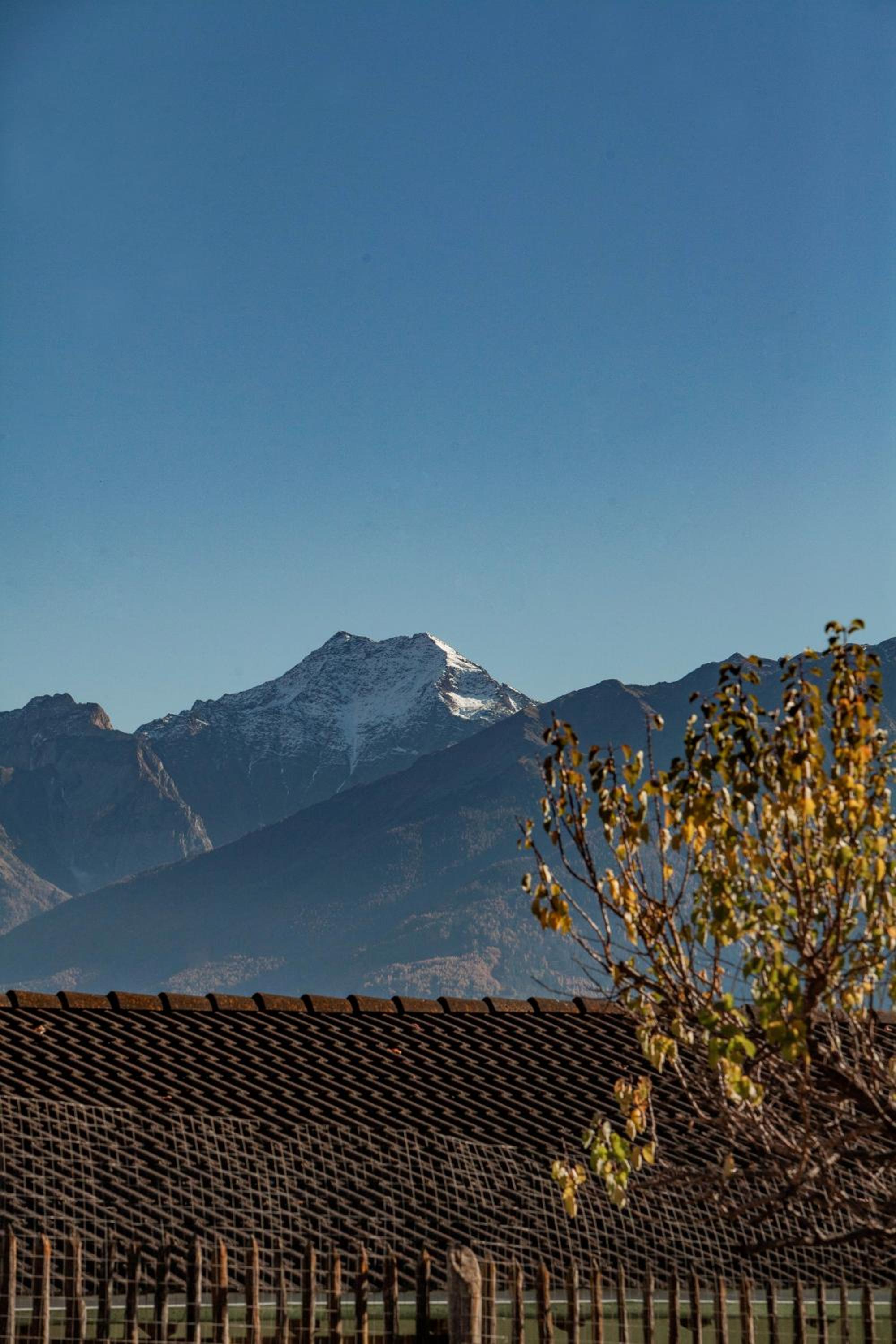 Apart Vinschgau