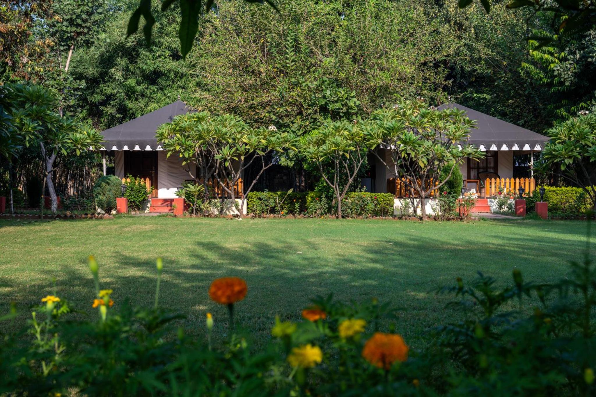 Jungle Cave Resort view 3