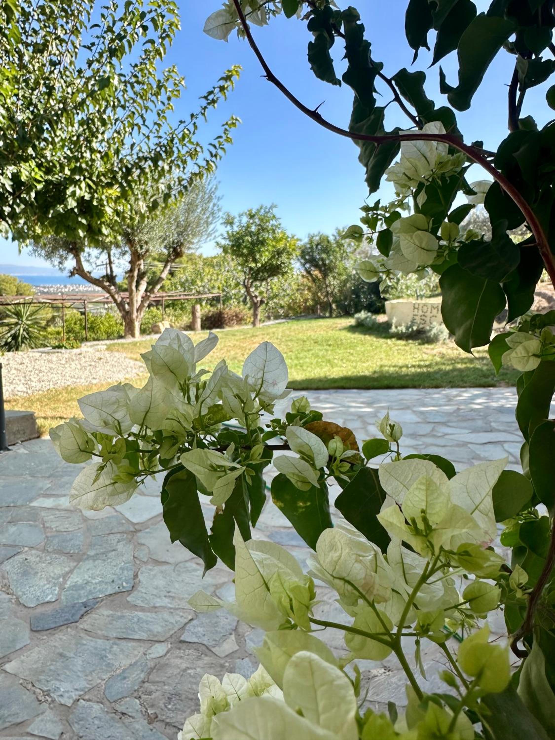 Christina's Homely Escapes view 3