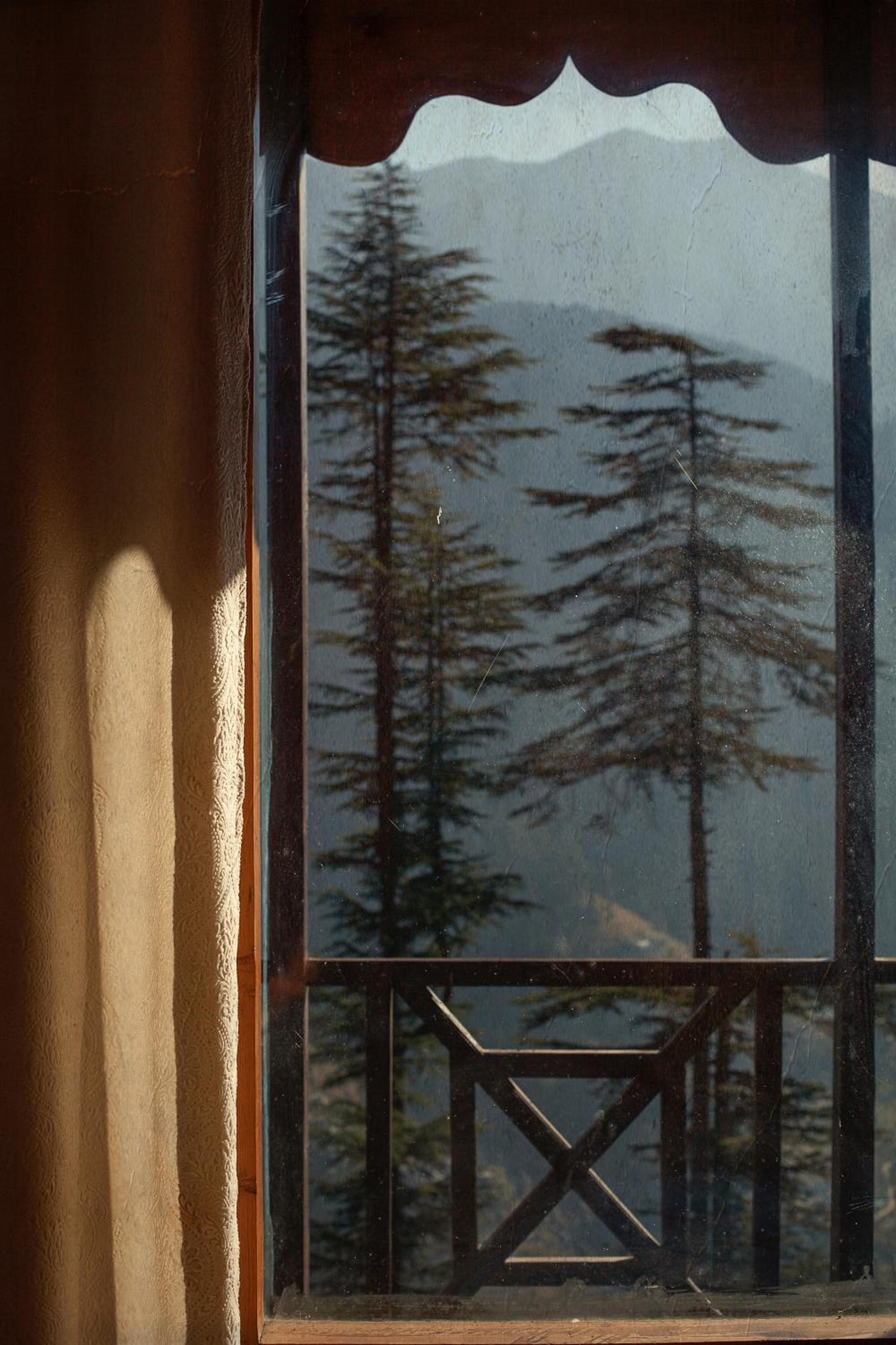 Photo 45