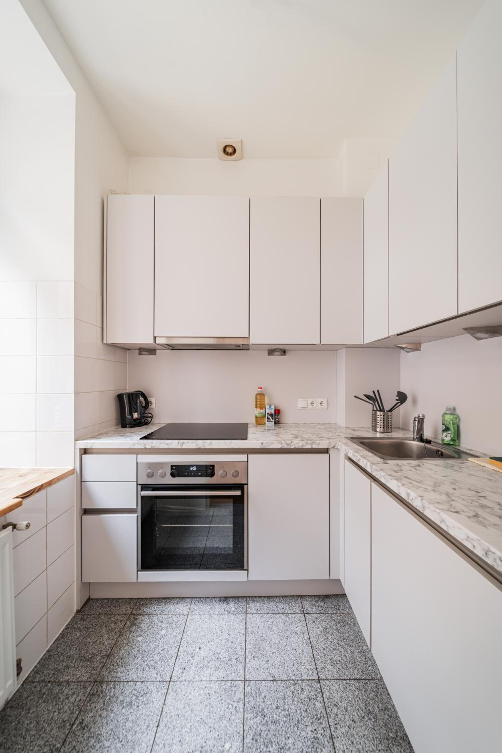 Pretty Apartment in Vienna