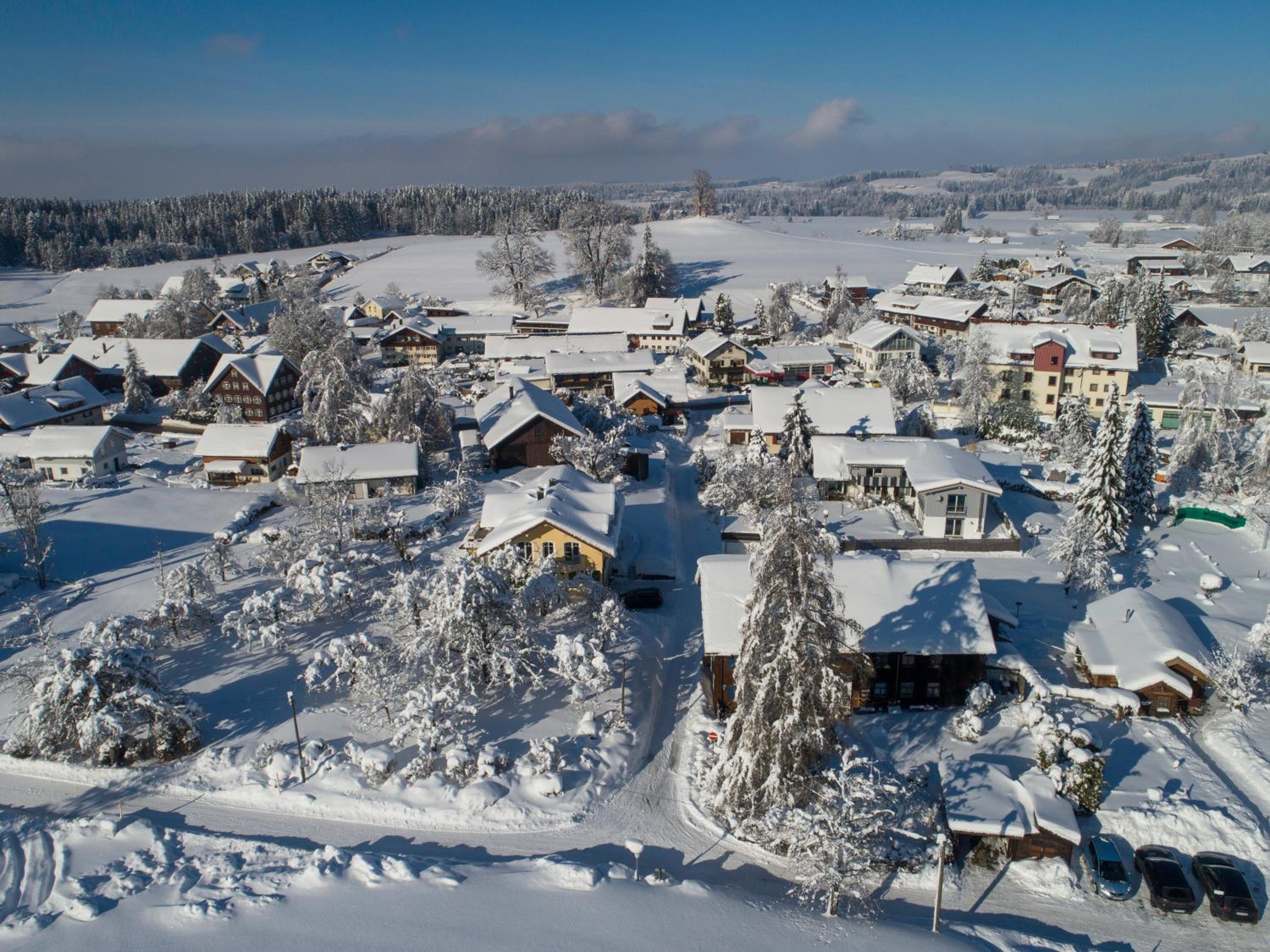Ferienwohnung Wiesengrün - uriger Hüttenstil