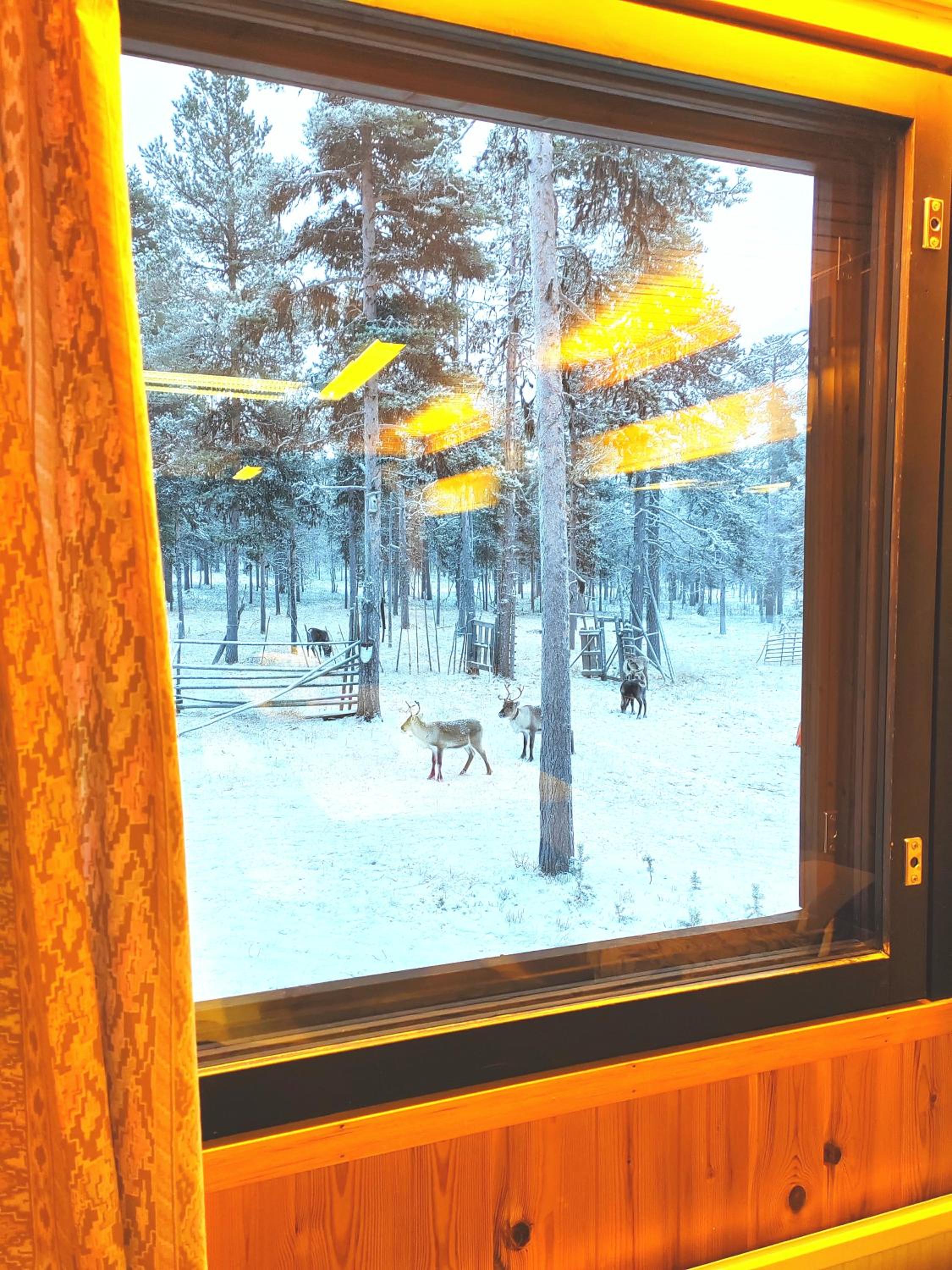 Aurora Cabin