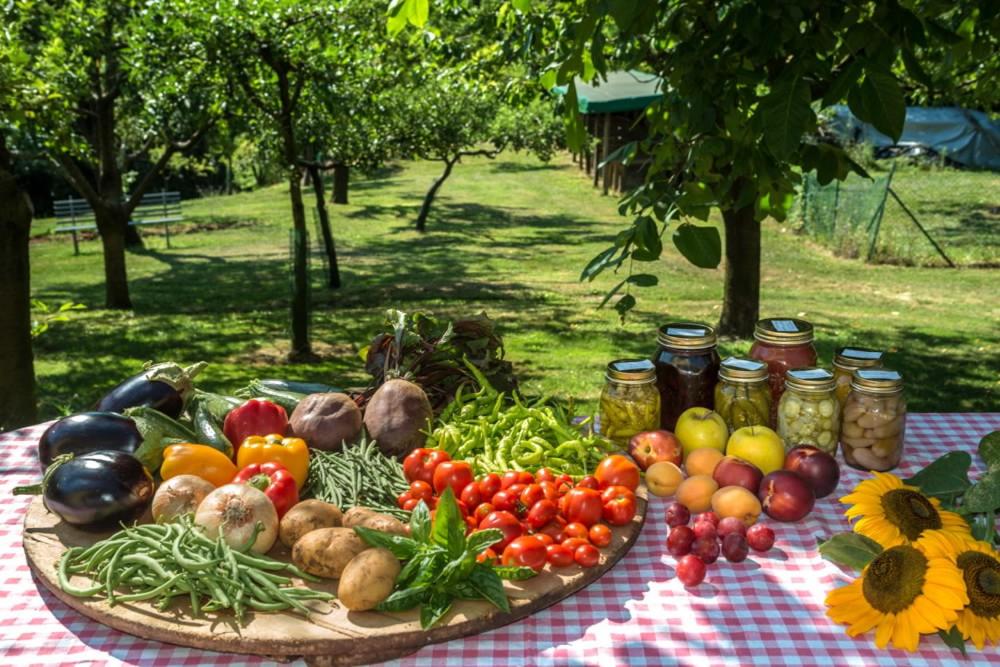 Colli Berici photo 4