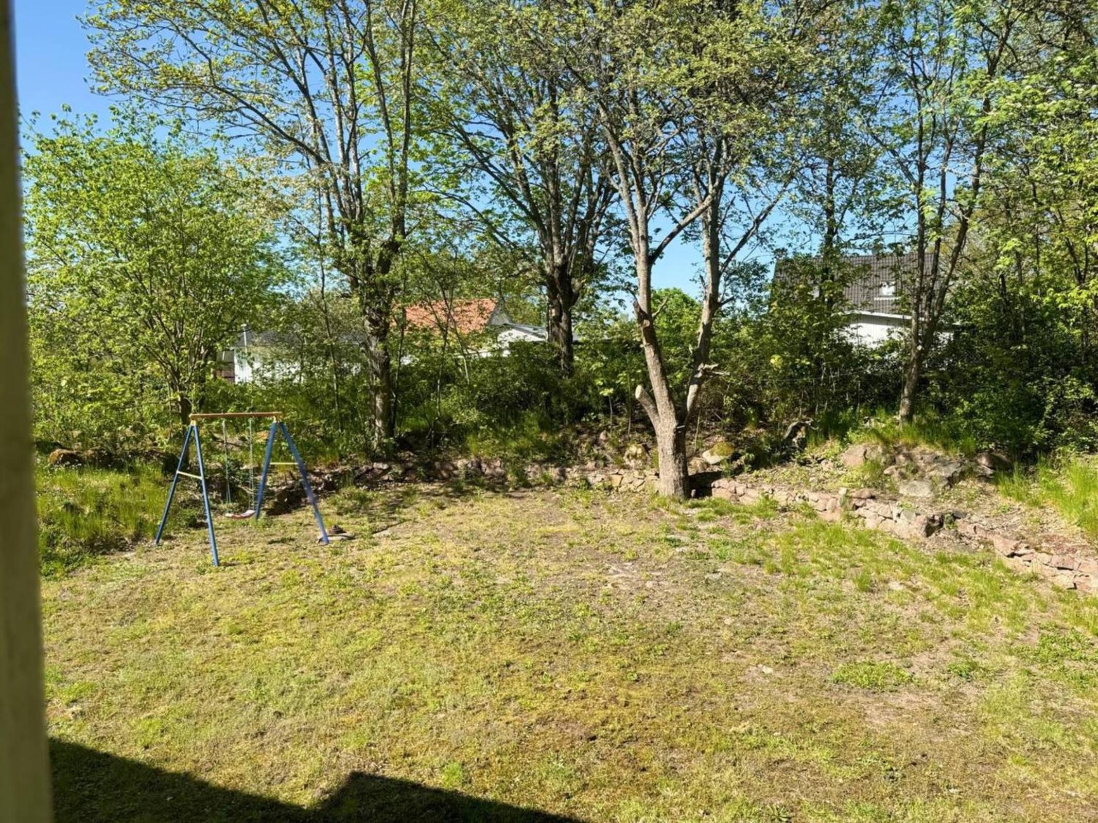 Yellow Figeholm