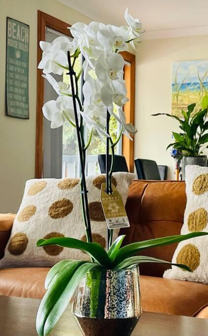 Ocean Air Retreat & Studio