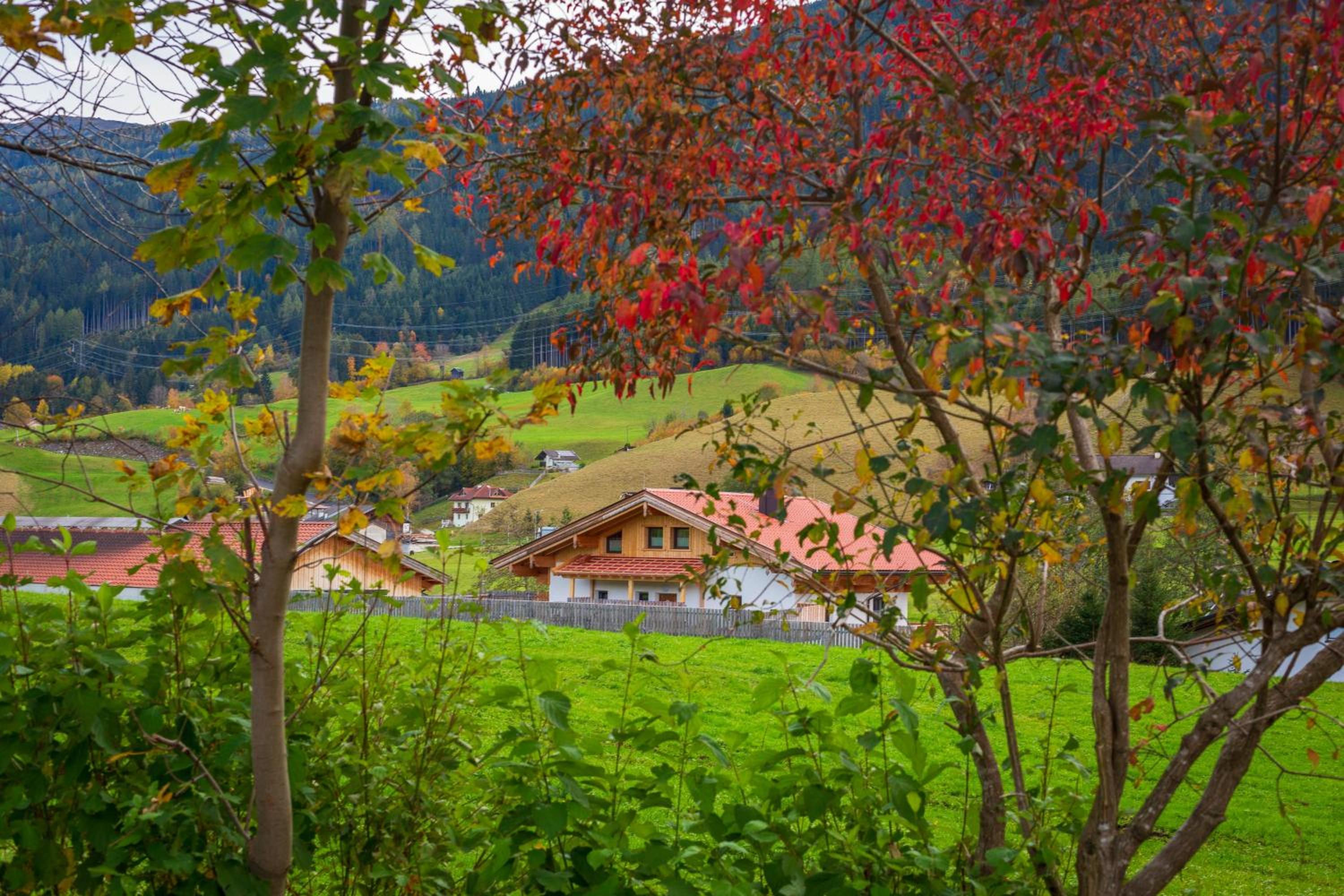 Ferienwohnung am Bauernhof, Korbingerhof