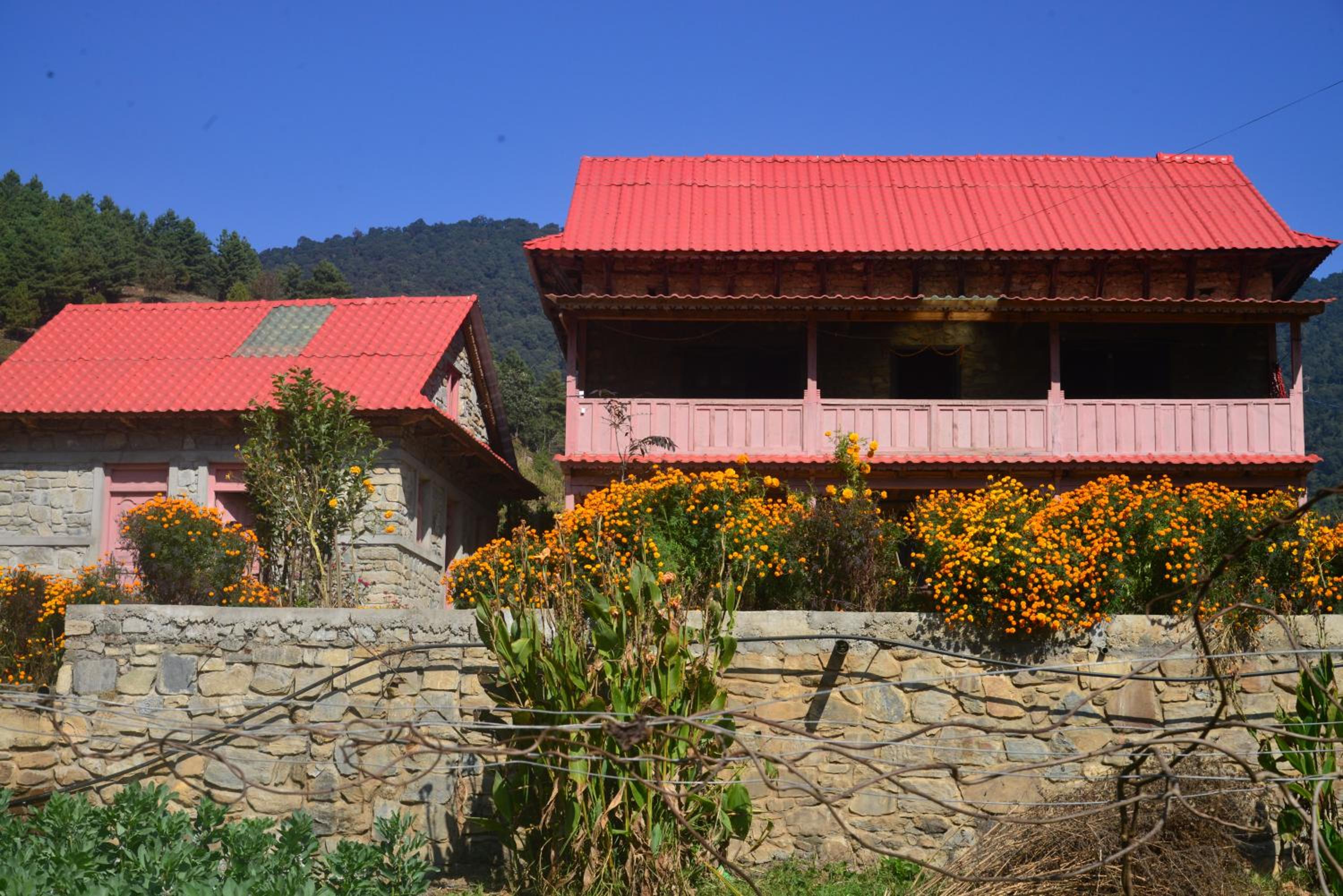 Photo 10