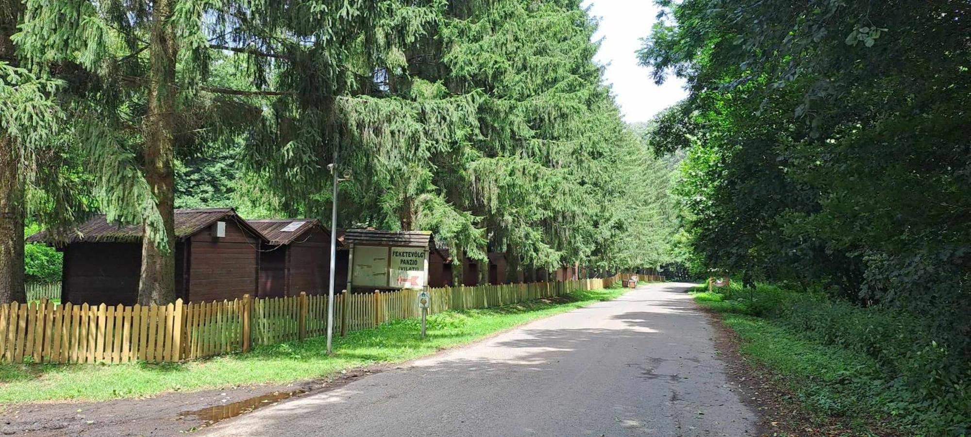 Szalonka Vendégház Kemence