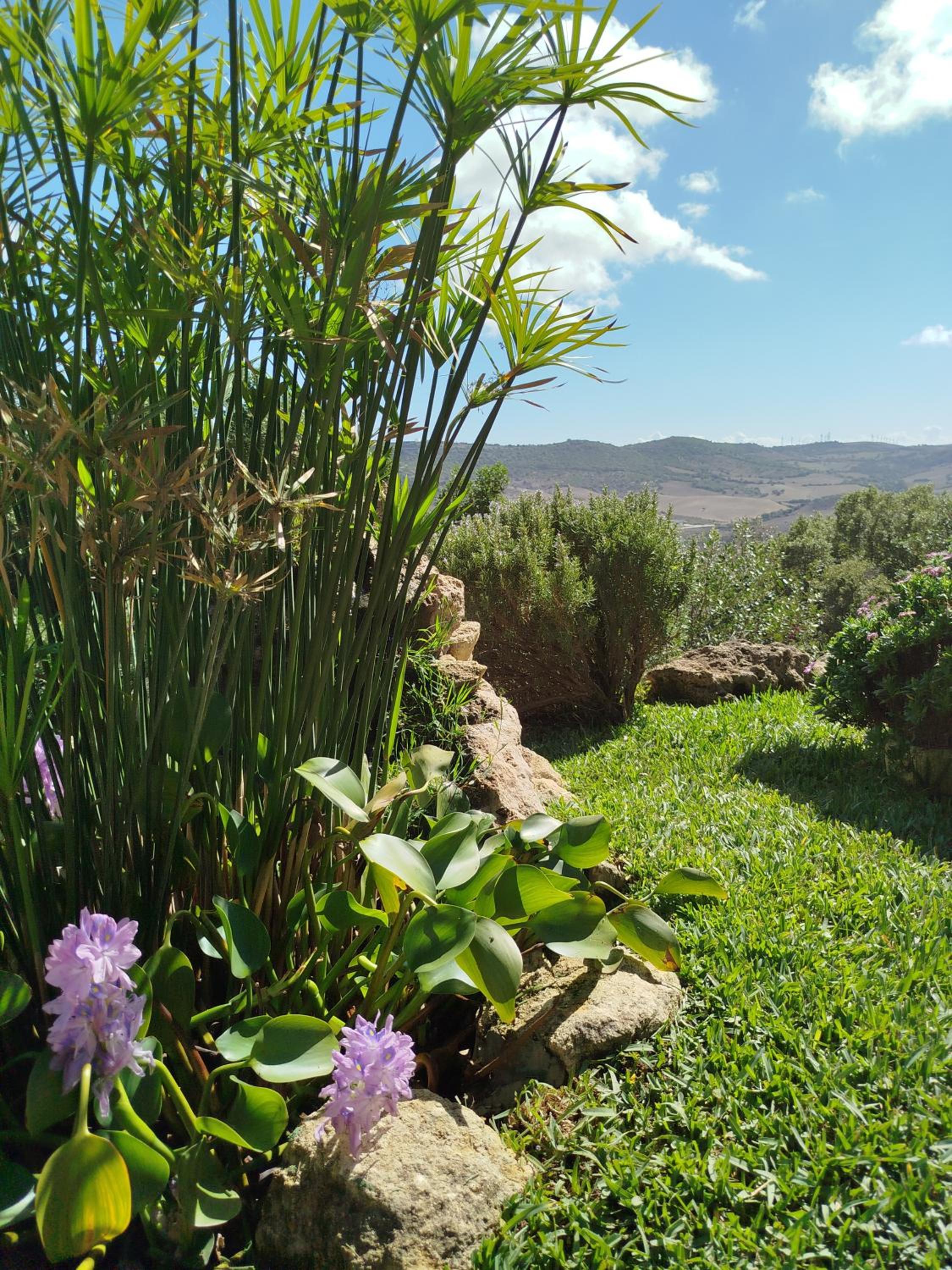 Casa Montecote Eco Resort