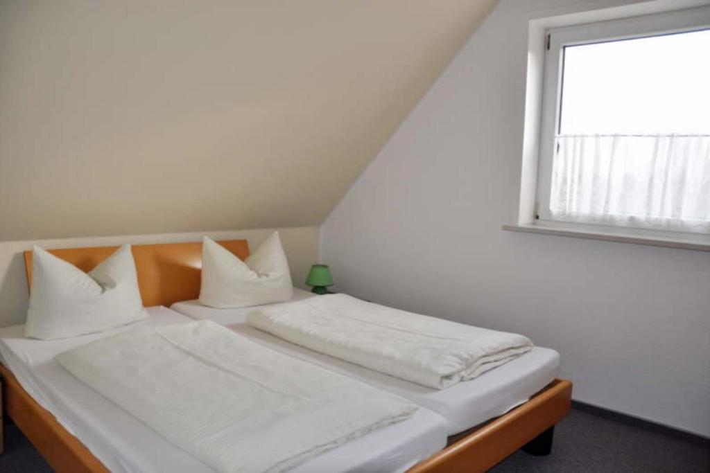 Takelage: Hundefreundlich & Balkon