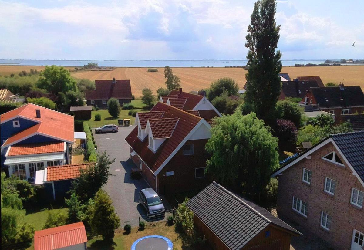 Takelage: Hundefreundlich & Balkon