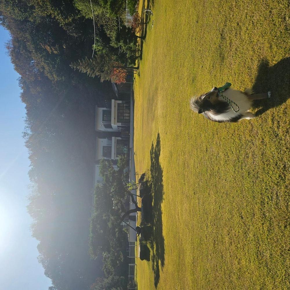 Photo 34