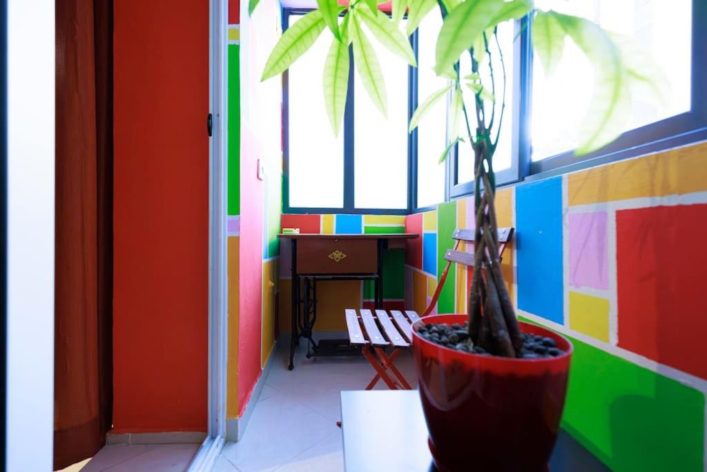 Viola - Lule Apartments