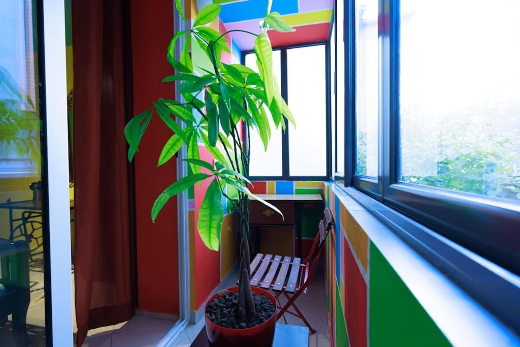 Viola - Lule Apartments