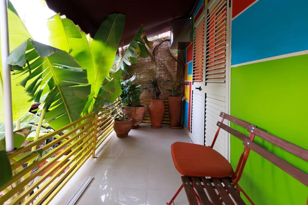 Viola - Lule Apartments