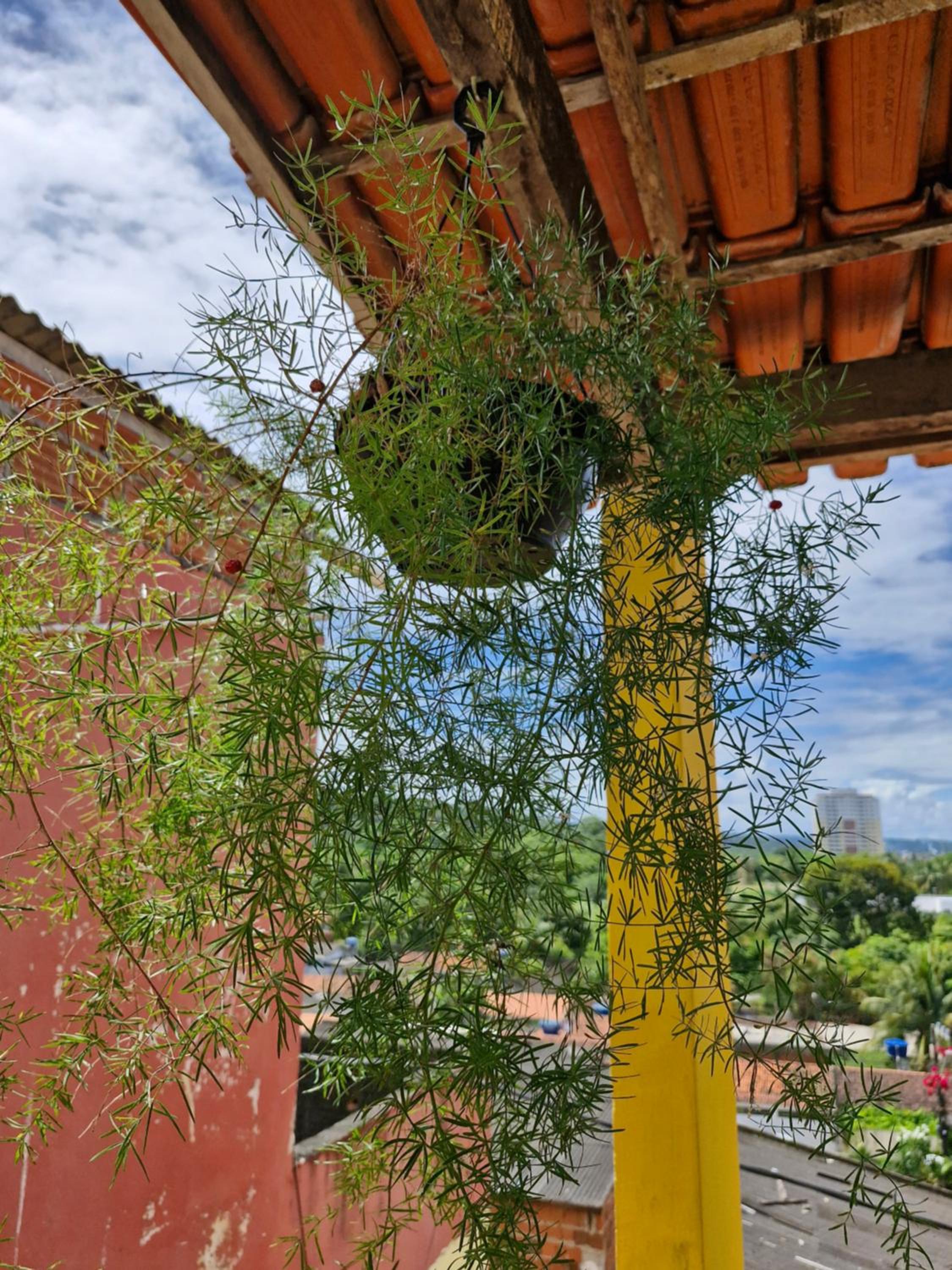 Bela Vista Casa Completa WI-FI Pet Criança WIFI