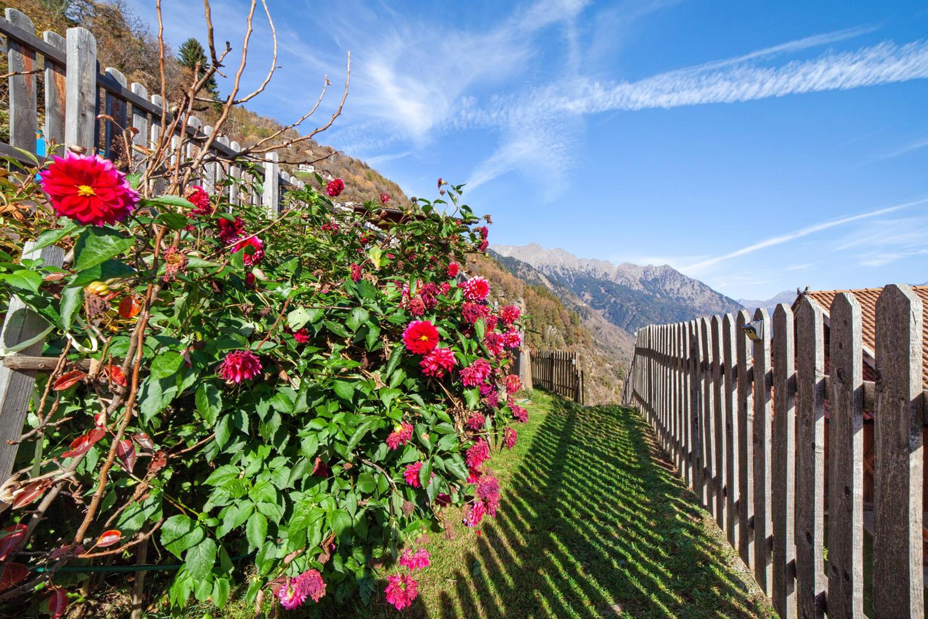 Wohnung Naturns Ausergrubhof