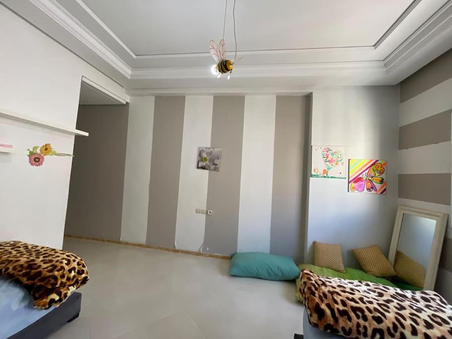 Appartement spacieux view 5