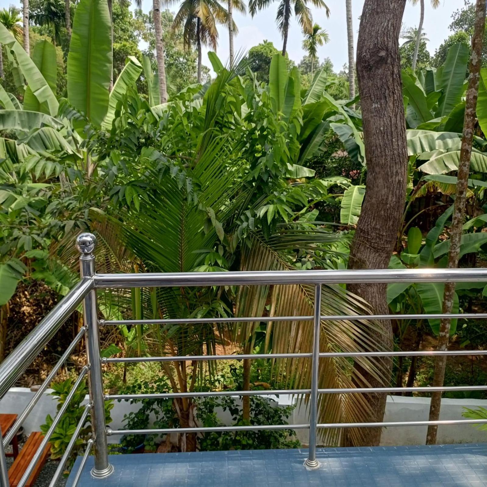 JayBee's Homestead