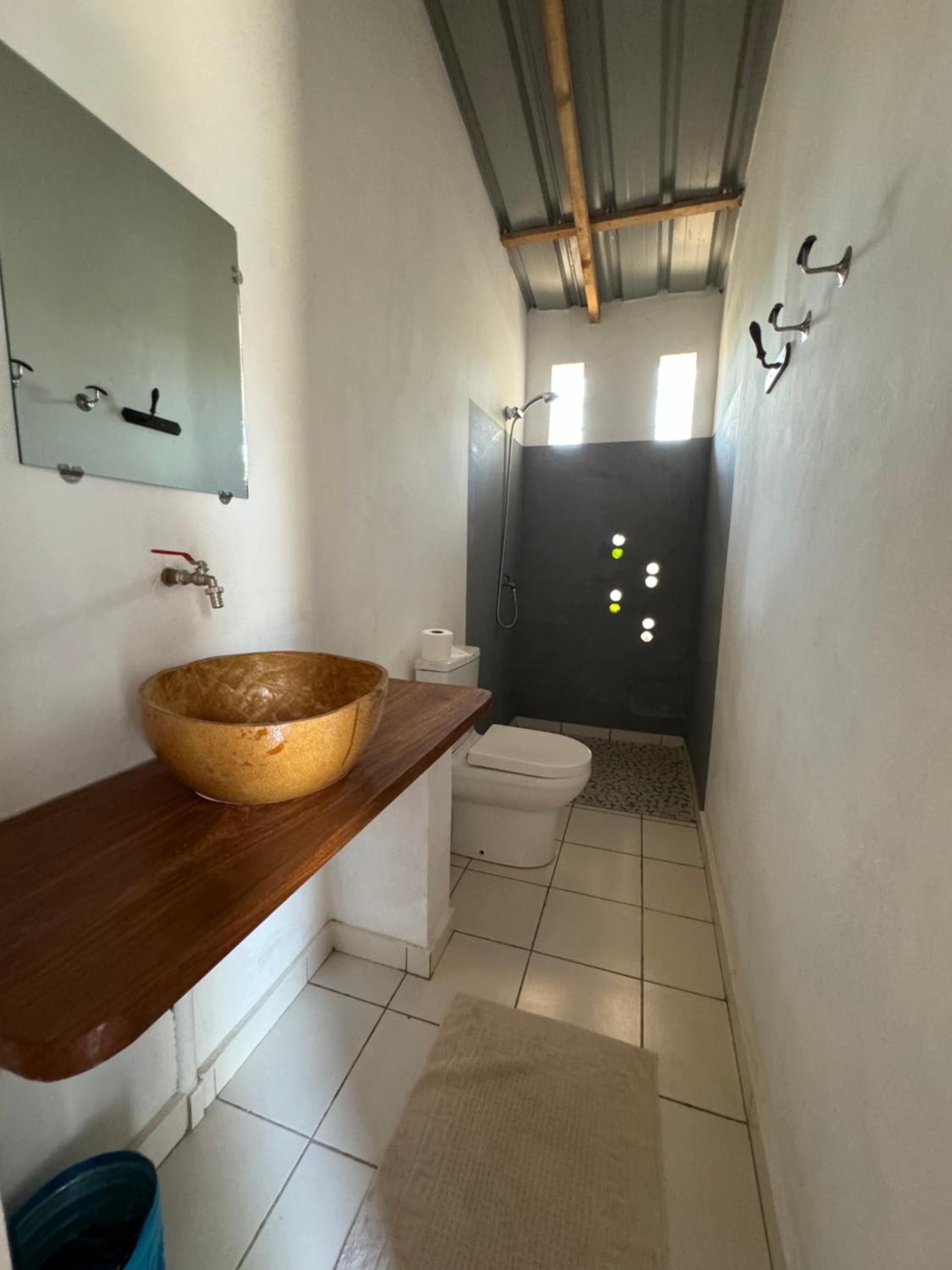 Ecolieu Nio Far view 3