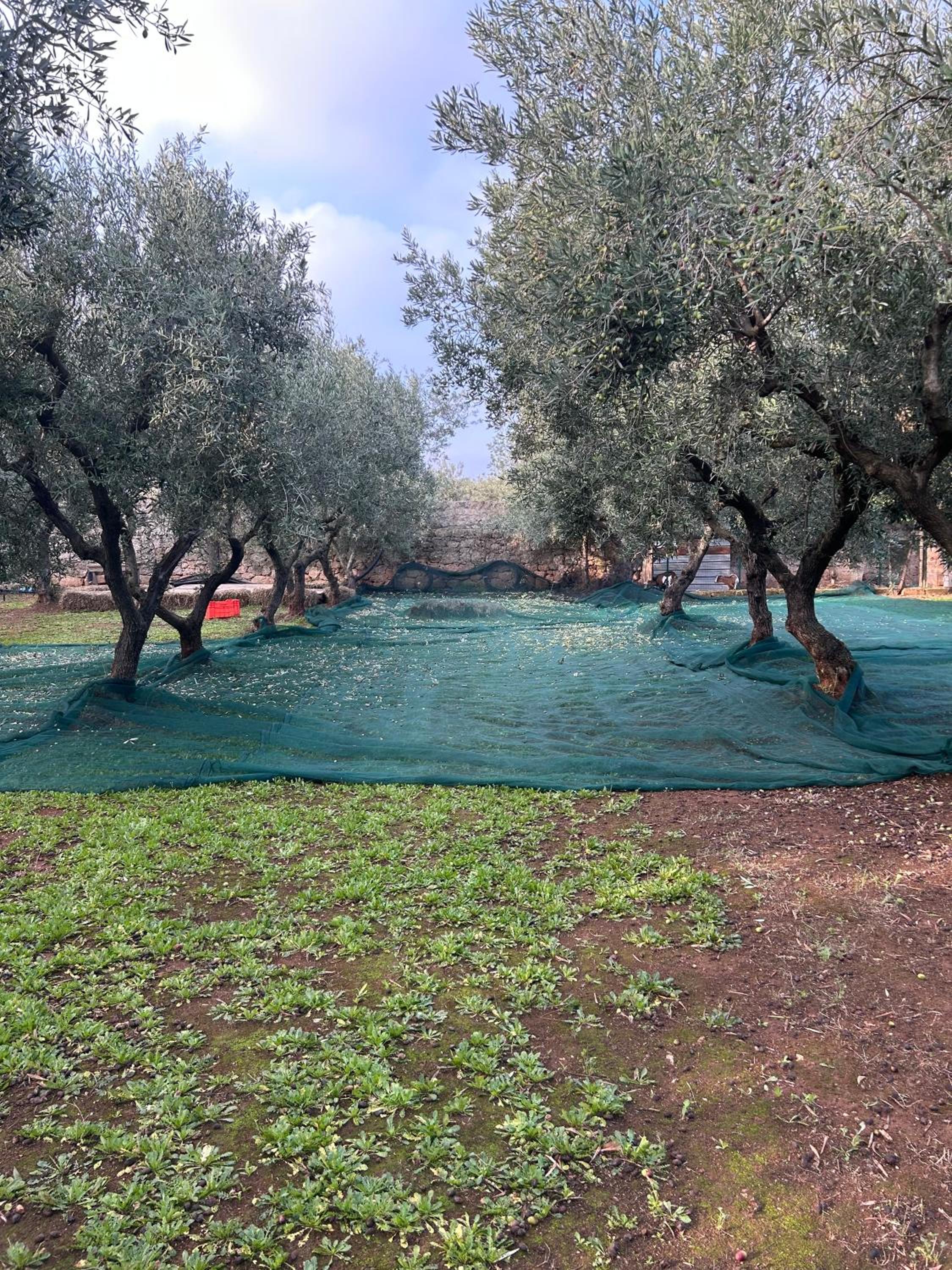 Sorelle Barnaba Country House