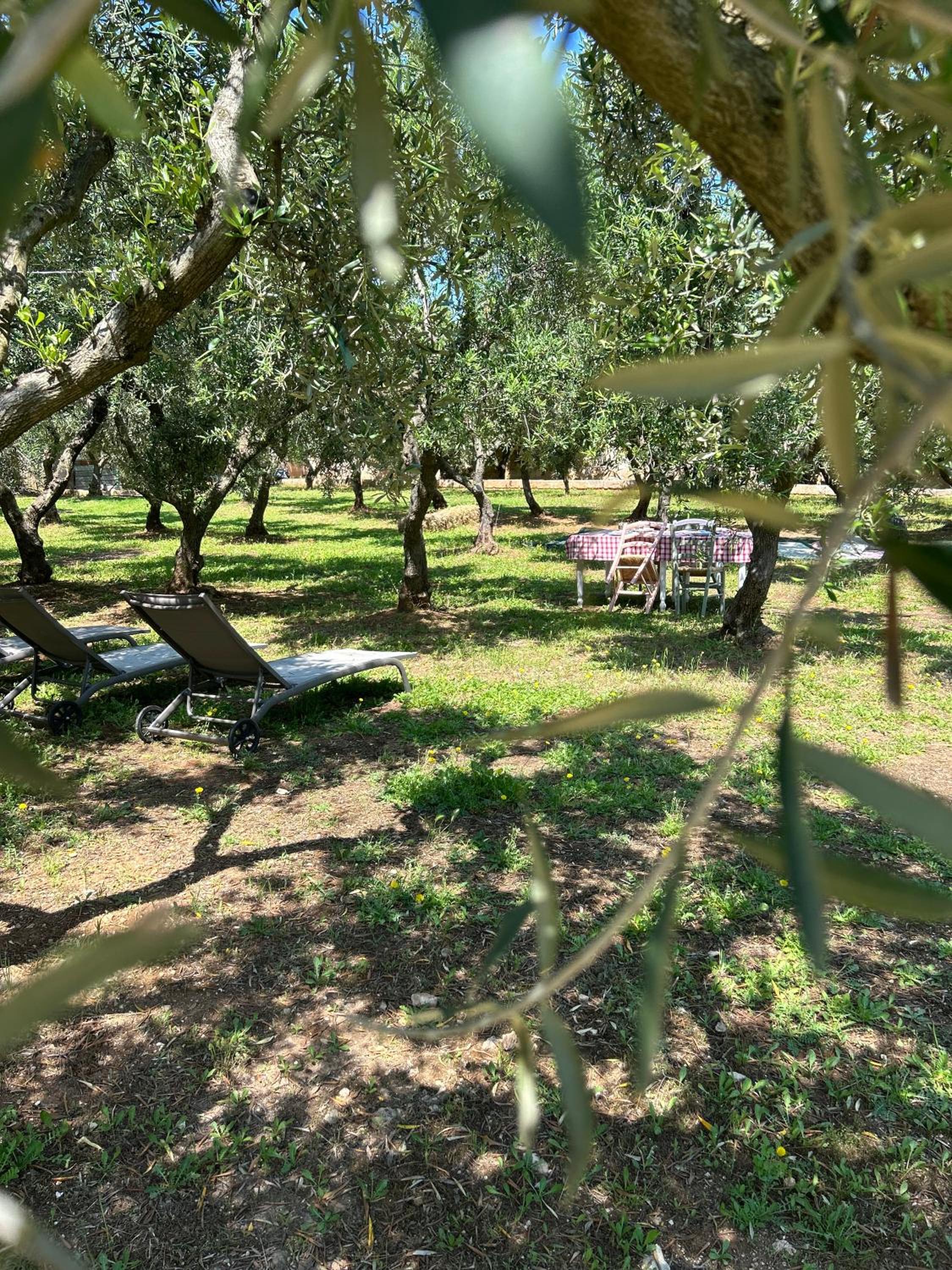 Sorelle Barnaba Country House